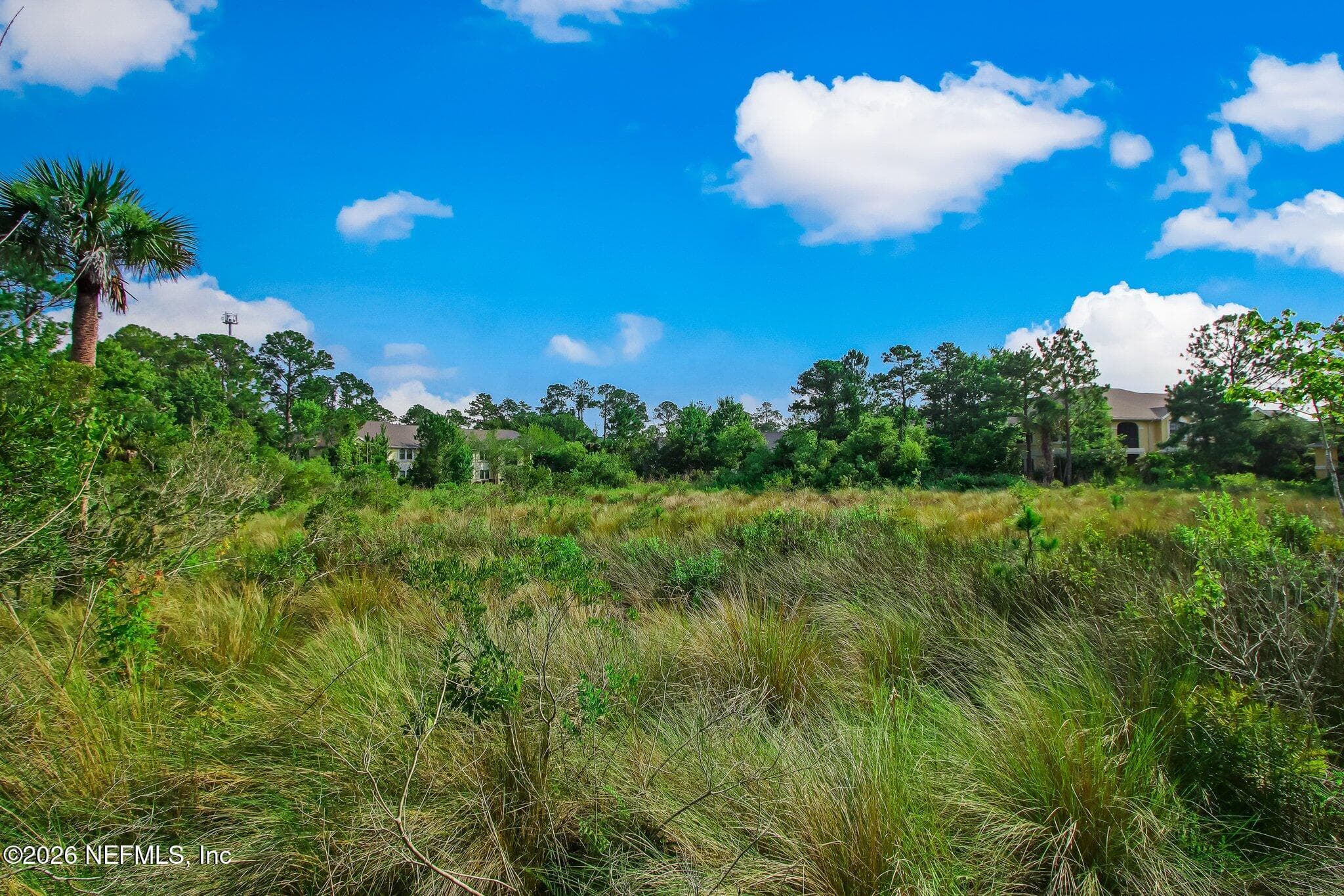 Photo 65 of 1529 VISTA COVE Road, St. Augustine, FL 32084