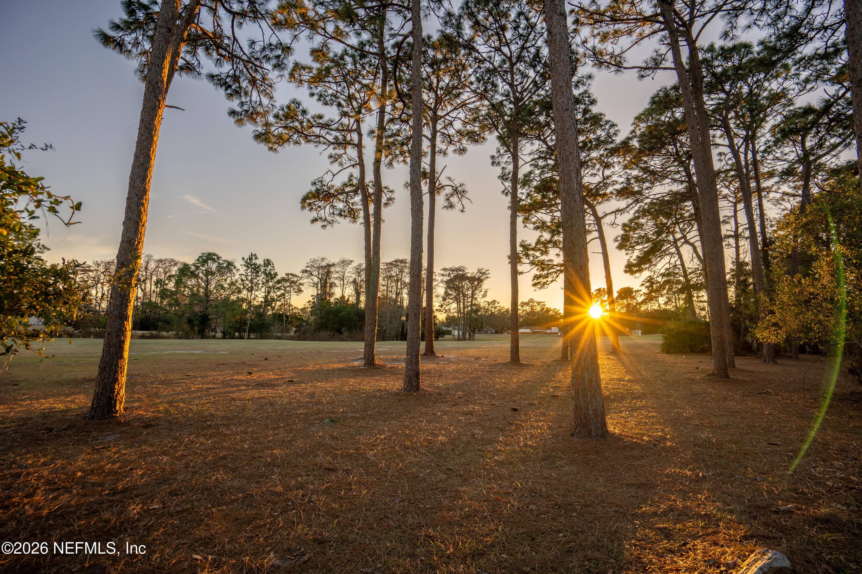 Photo 4 of 503 SEVILLA Drive, St. Augustine Shores, FL 32086