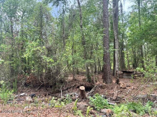 Photo 3 of 10891 NW COUNTY ROAD 229, Starke, FL 32091