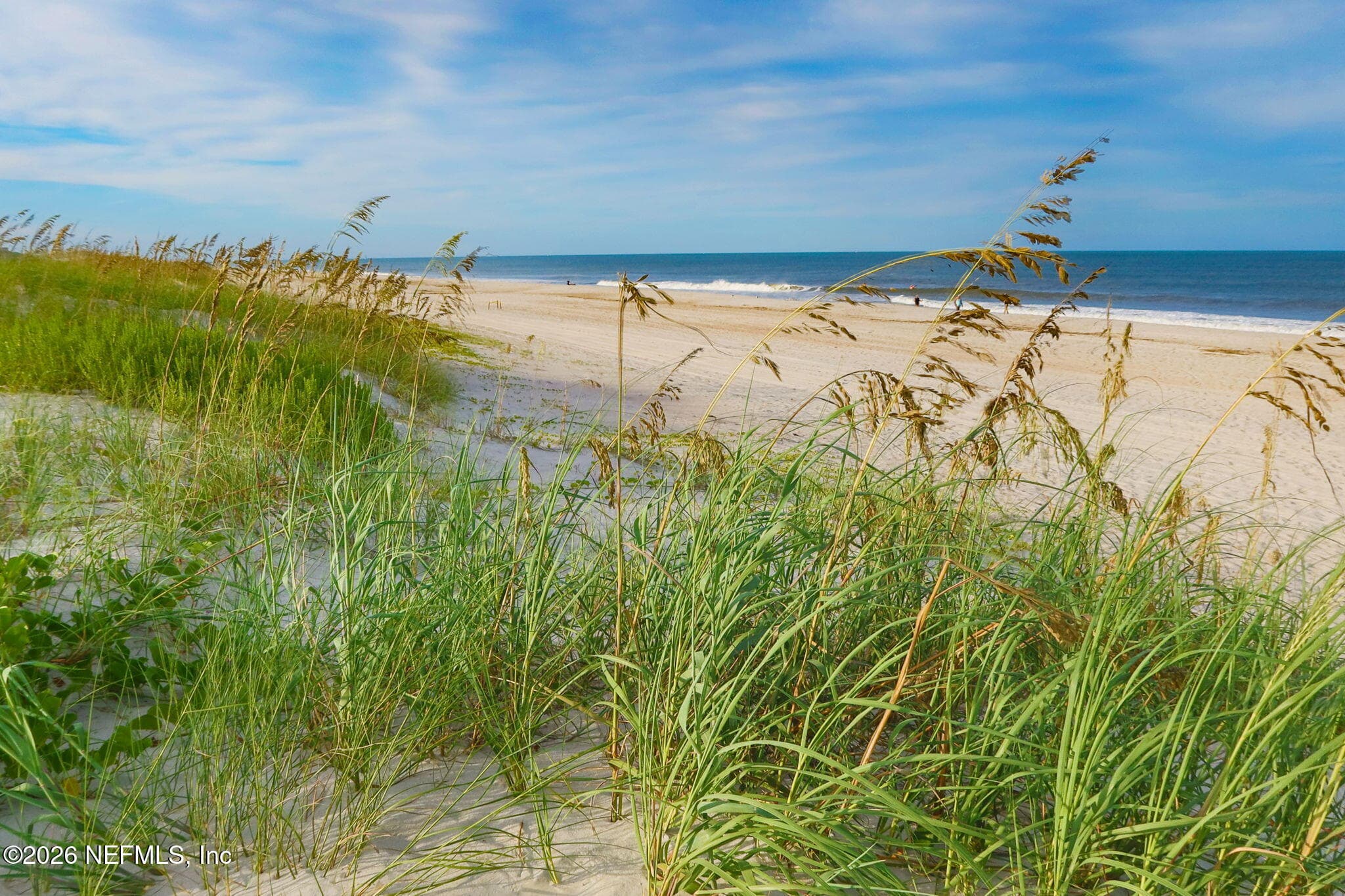 Amelia Island is known for its wide, sandy beautiful beaches — 865 LAGUNA Drive, Fernandina Beach, FL 32034