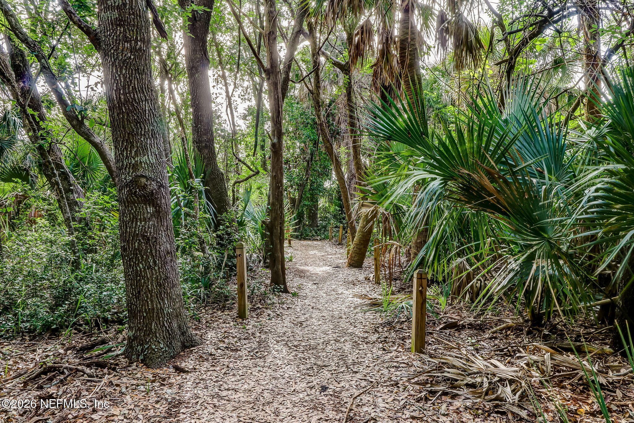 One of the nature paths within Egans Creek Greenway — 865 LAGUNA Drive, Fernandina Beach, FL 32034