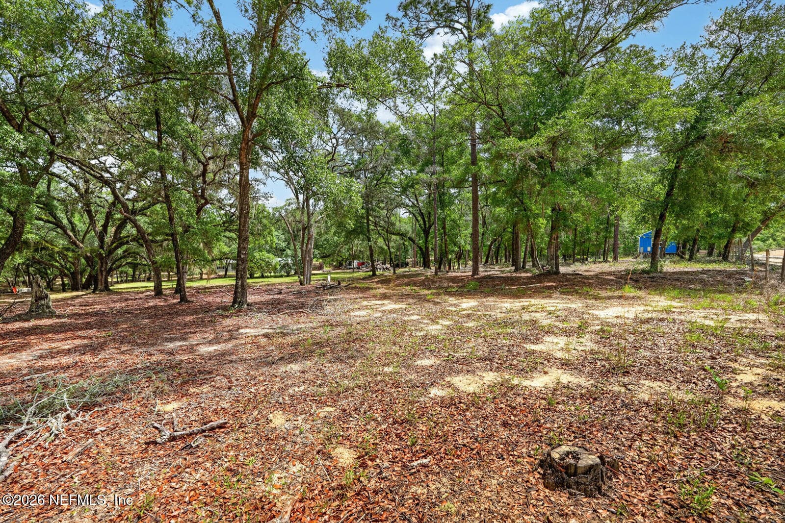 Photo 41 of 134 WINDY HILLS Road, Hawthorne, FL 32640