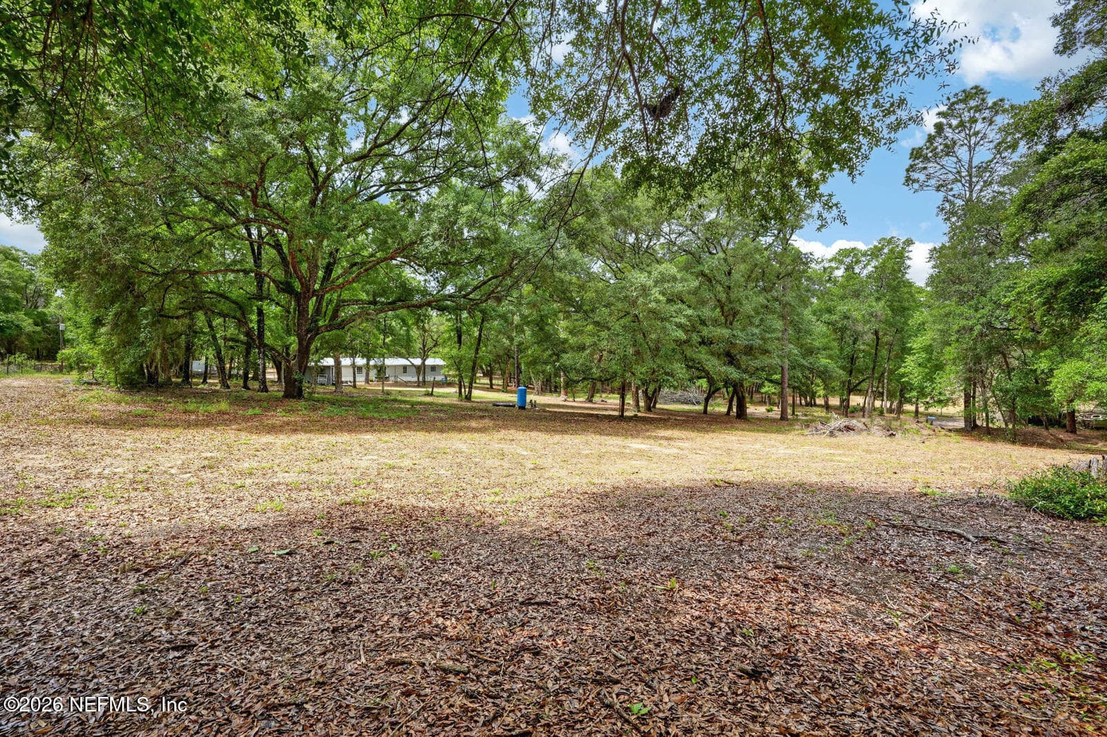 Photo 48 of 134 WINDY HILLS Road, Hawthorne, FL 32640