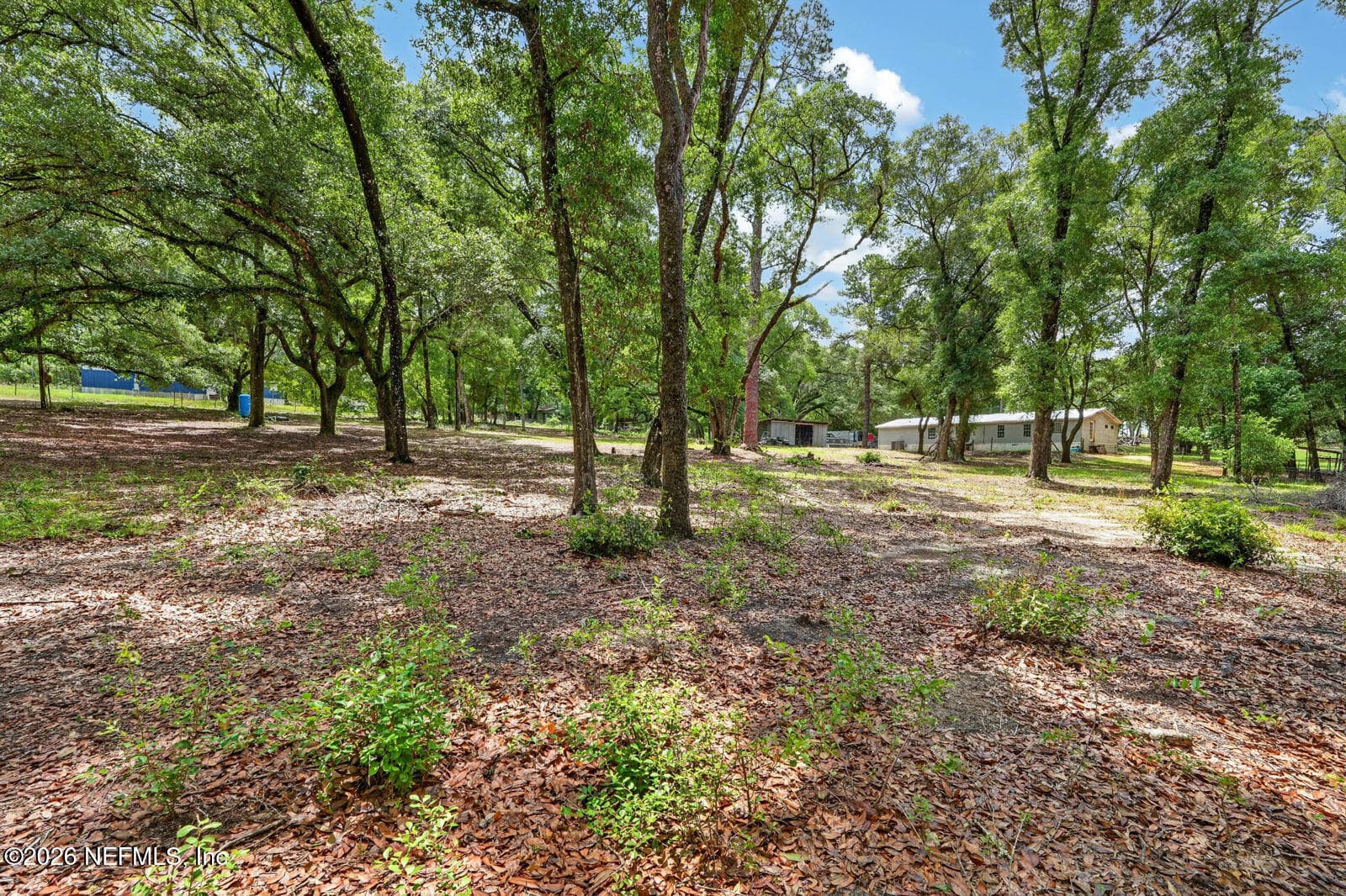 Photo 49 of 134 WINDY HILLS Road, Hawthorne, FL 32640