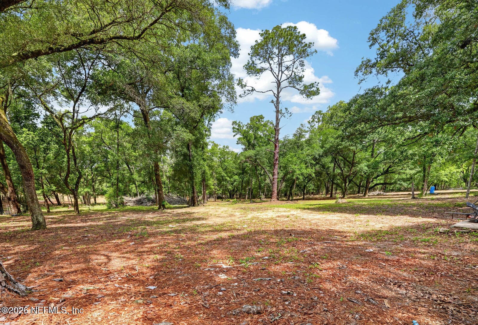 Photo 52 of 134 WINDY HILLS Road, Hawthorne, FL 32640