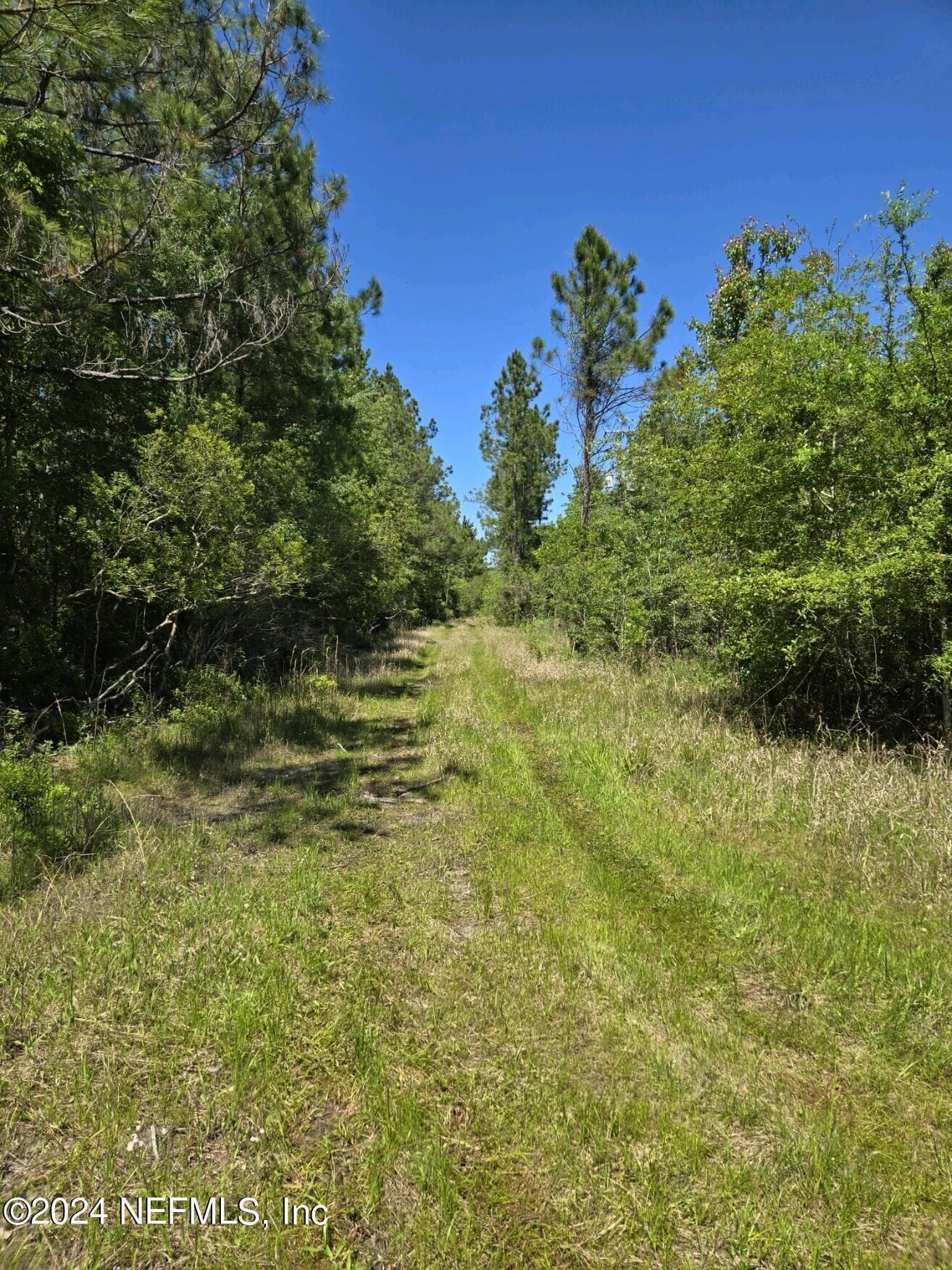 Photo 3 of 0 SE 47TH Avenue, Starke, FL 32091