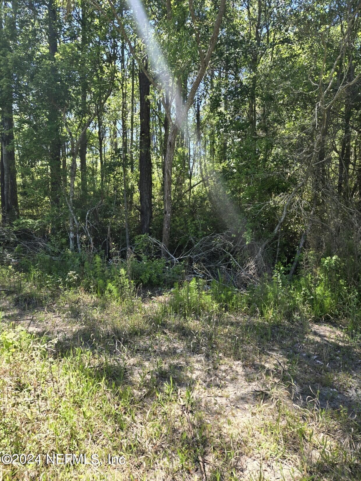Photo 4 of 0 SE 47TH Avenue, Starke, FL 32091