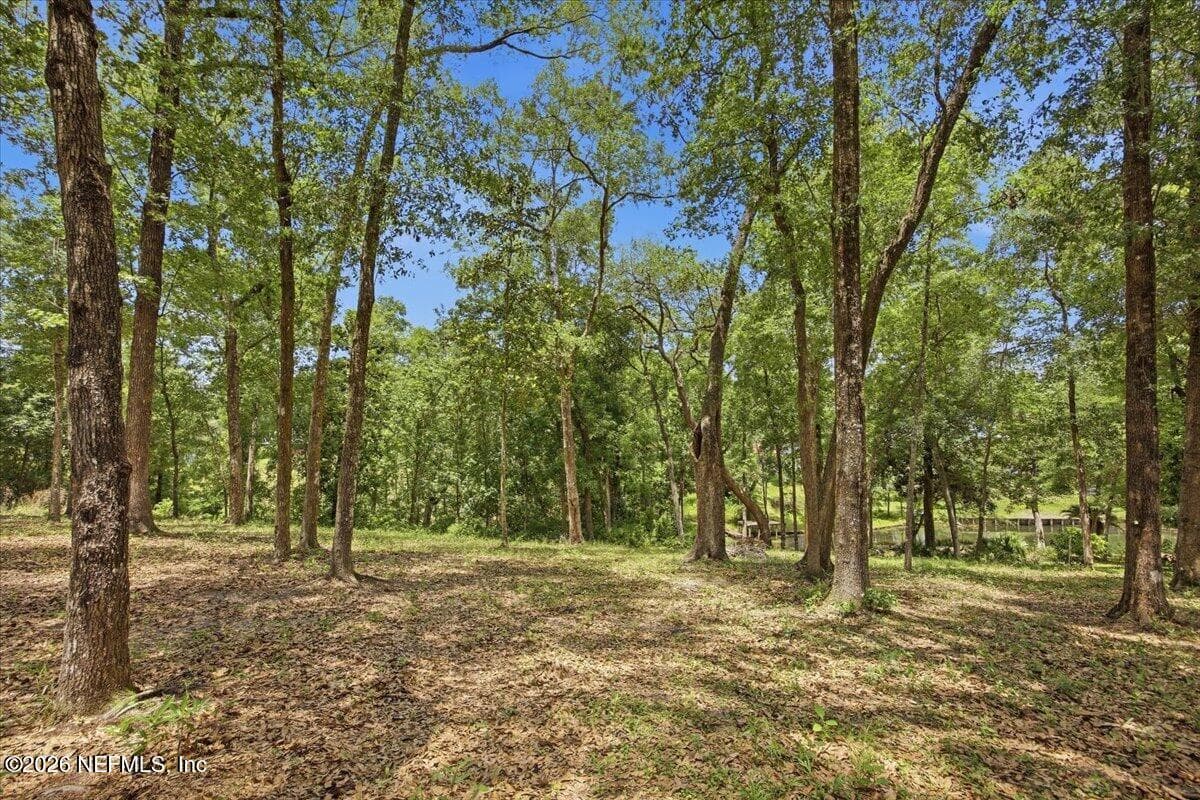 Photo 32 of 1239 LAKE ASBURY Drive, Green Cove Springs, FL 32043