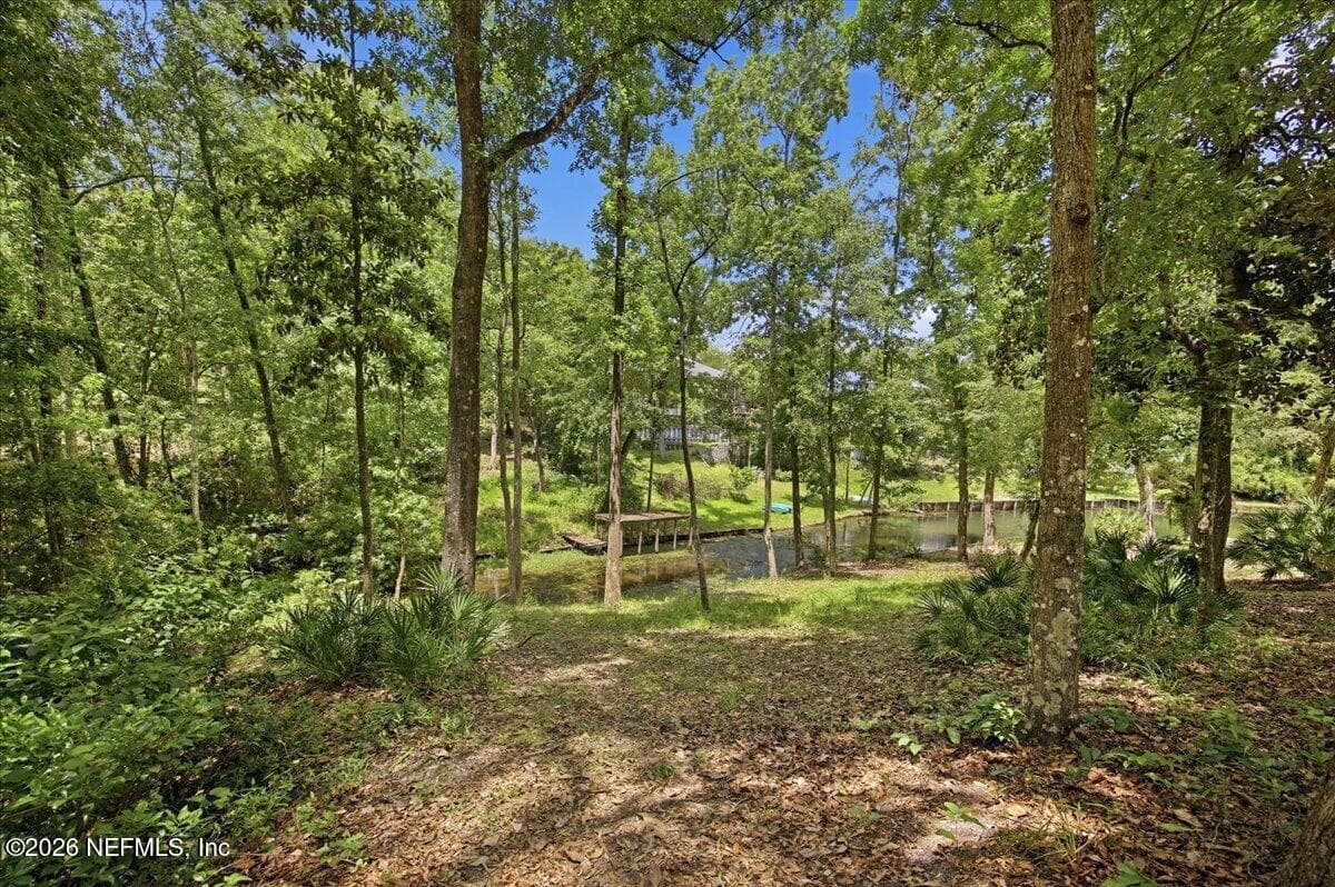 Photo 33 of 1239 LAKE ASBURY Drive, Green Cove Springs, FL 32043