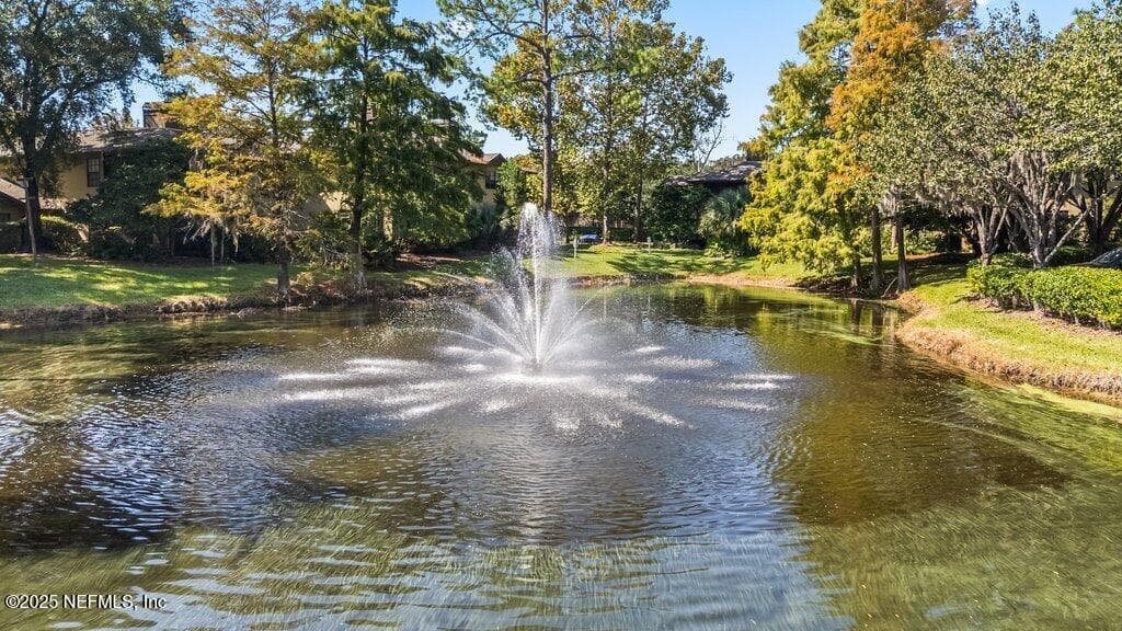 Fountain — 10150 BELLE RIVE Boulevard 303, Jacksonville, FL 32256