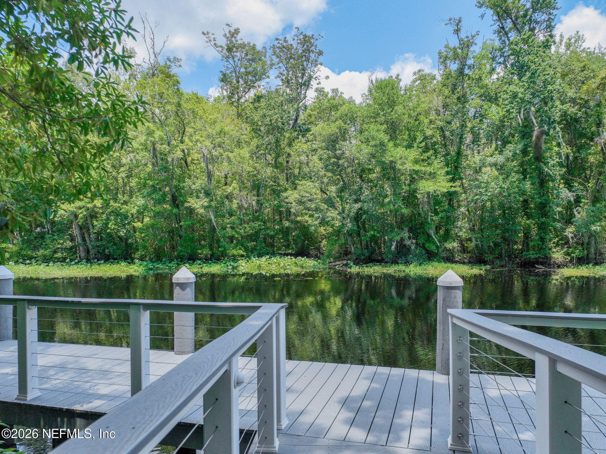 Photo 42 of 3011 FREE BIRD Loop, Green Cove Springs, FL 32043
