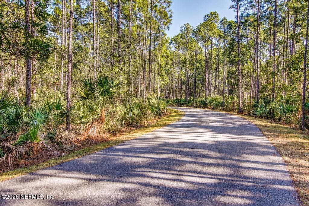 Photo 38 of 141 MILLENIA Drive, Ponte Vedra, FL 32081