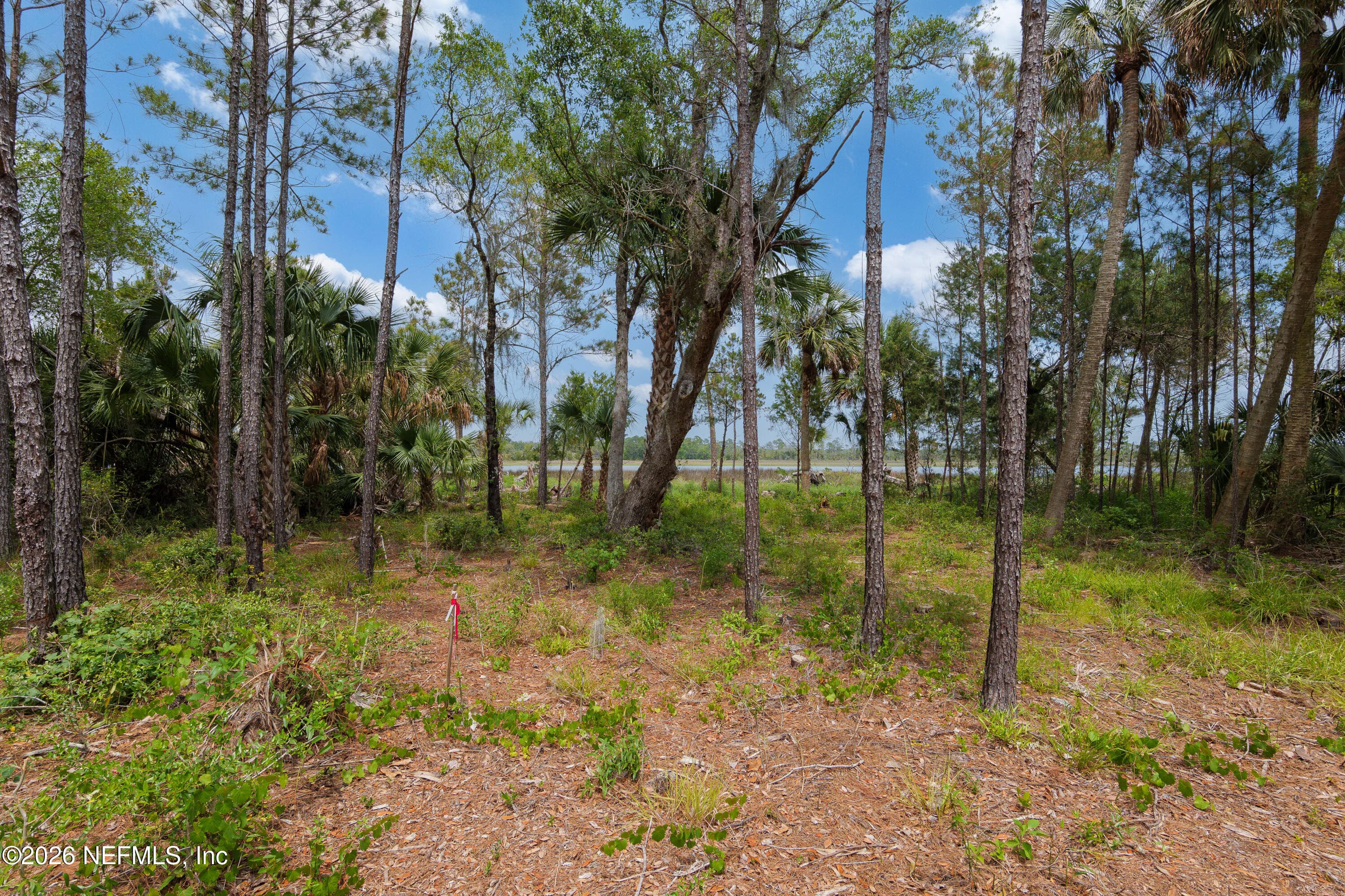 Photo 11 of 874 S HARBOR LIGHTS Drive, Ponte Vedra, FL 32081