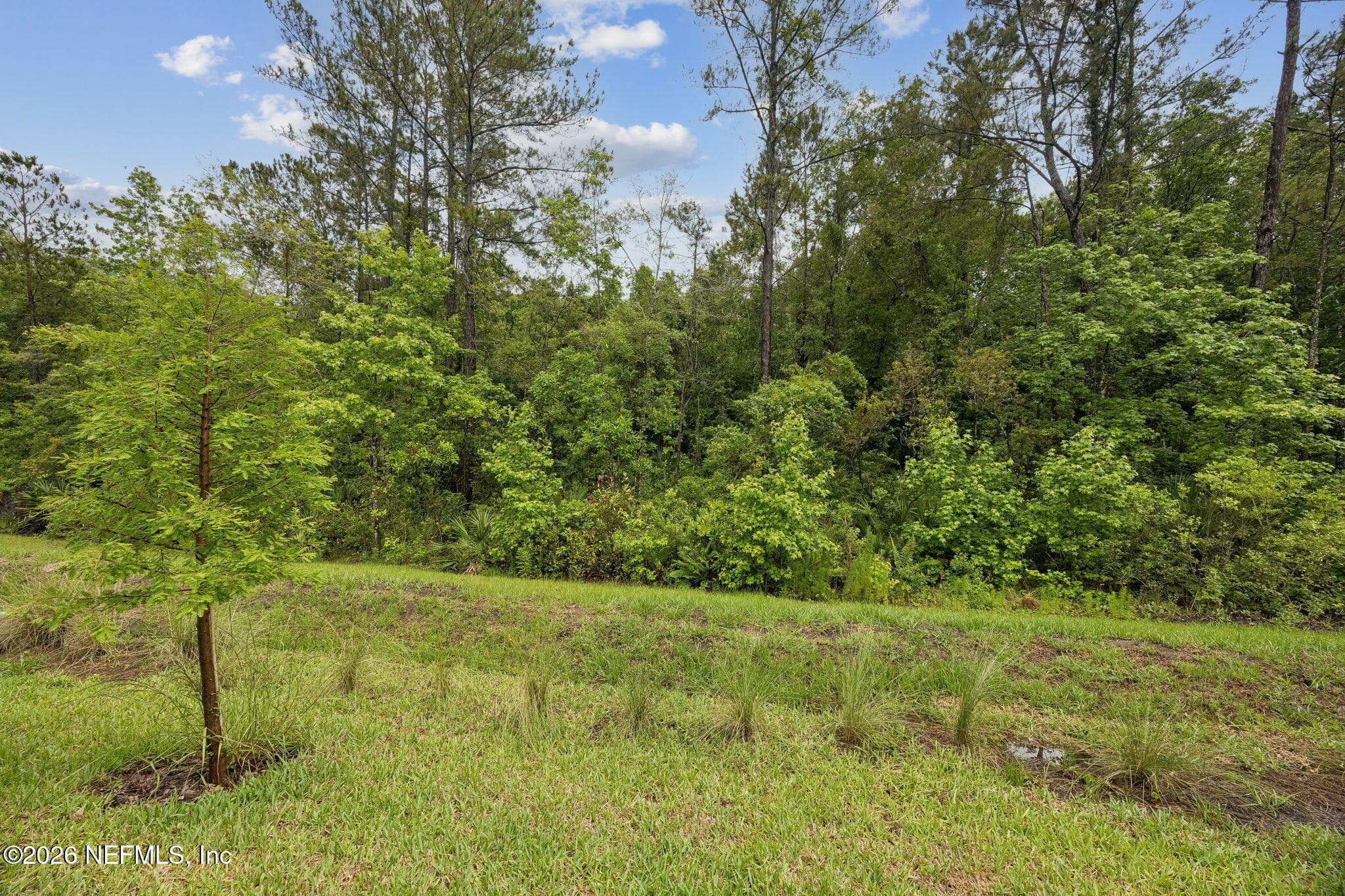 Photo 32 of 96645 STILLPOINT Way, Fernandina Beach, FL 32034