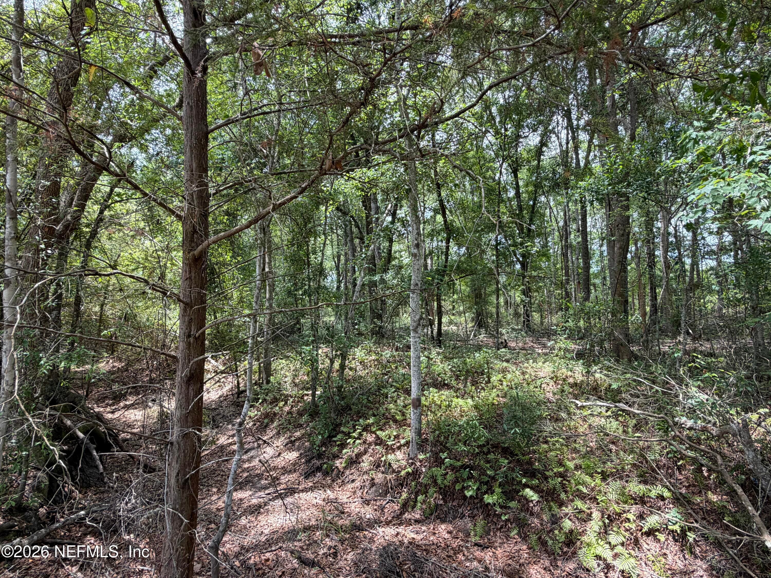 Photo 35 of 13794 SE 21ST Avenue, Starke, FL 32091