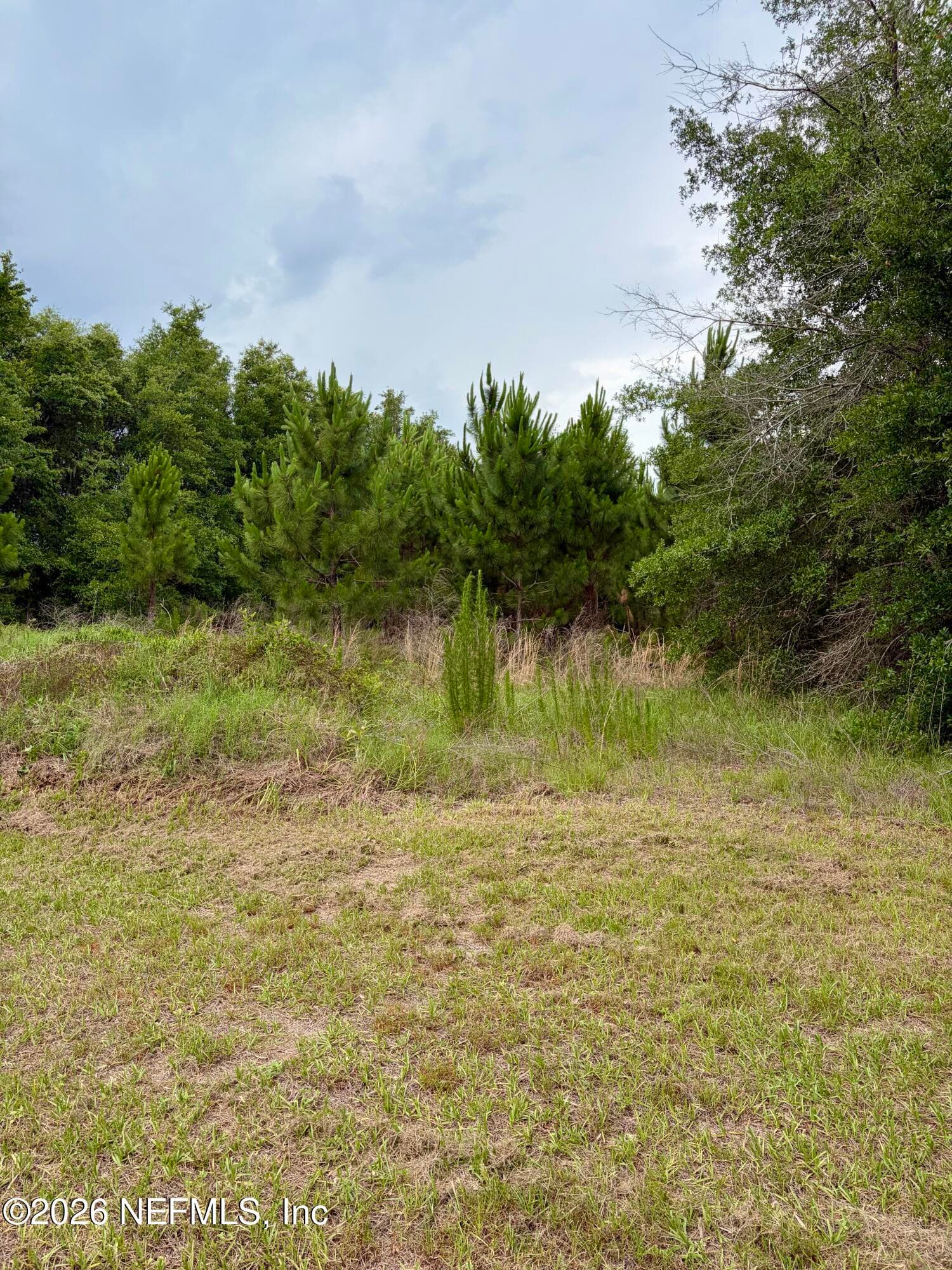 2 acre lot — 941222 OLD NASSAUVILLE Road, Fernandina Beach, FL 32034