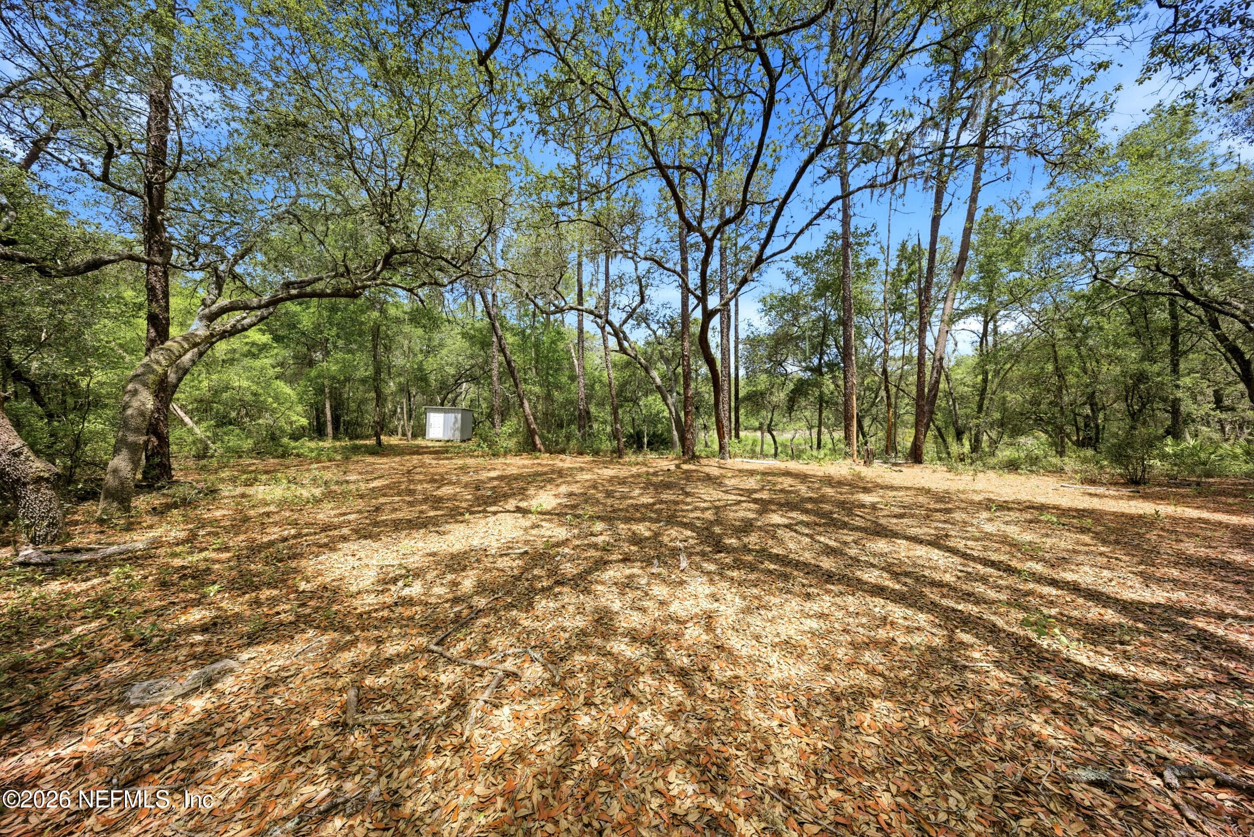 0 NE 115 AVENUE Avenue, Fort McCoy, FL 32134