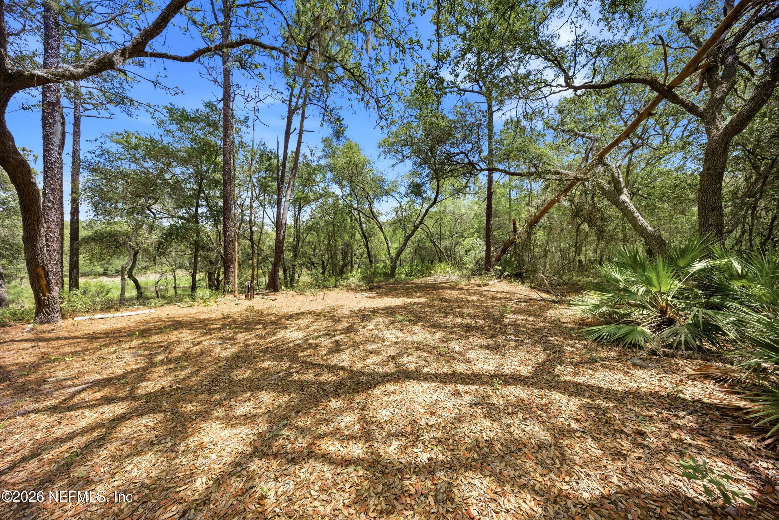 Photo 2 of 0 NE 115 AVENUE Avenue, Fort McCoy, FL 32134