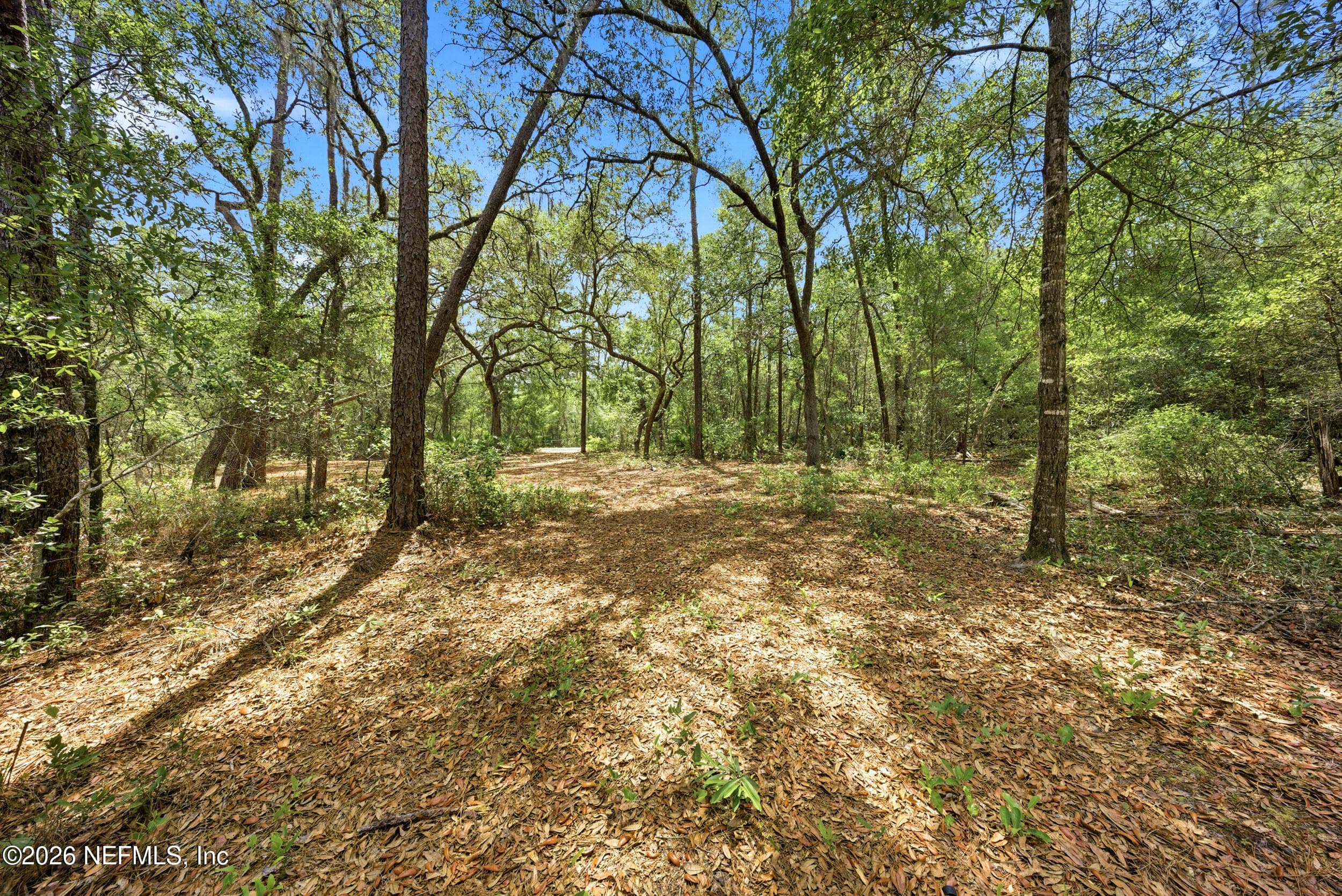 Photo 4 of 0 NE 115 AVENUE Avenue, Fort McCoy, FL 32134