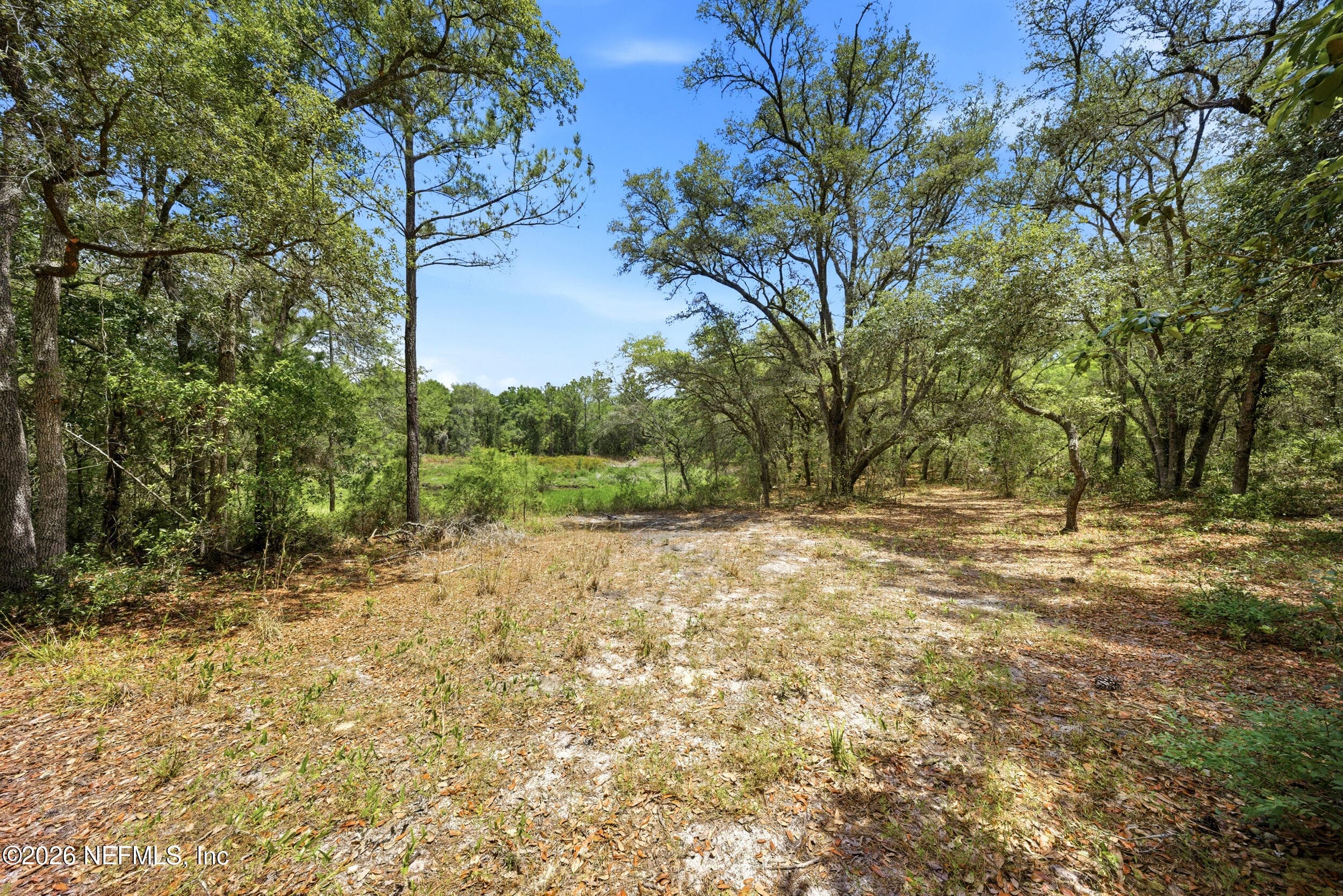Photo 5 of 0 NE 115 AVENUE Avenue, Fort McCoy, FL 32134