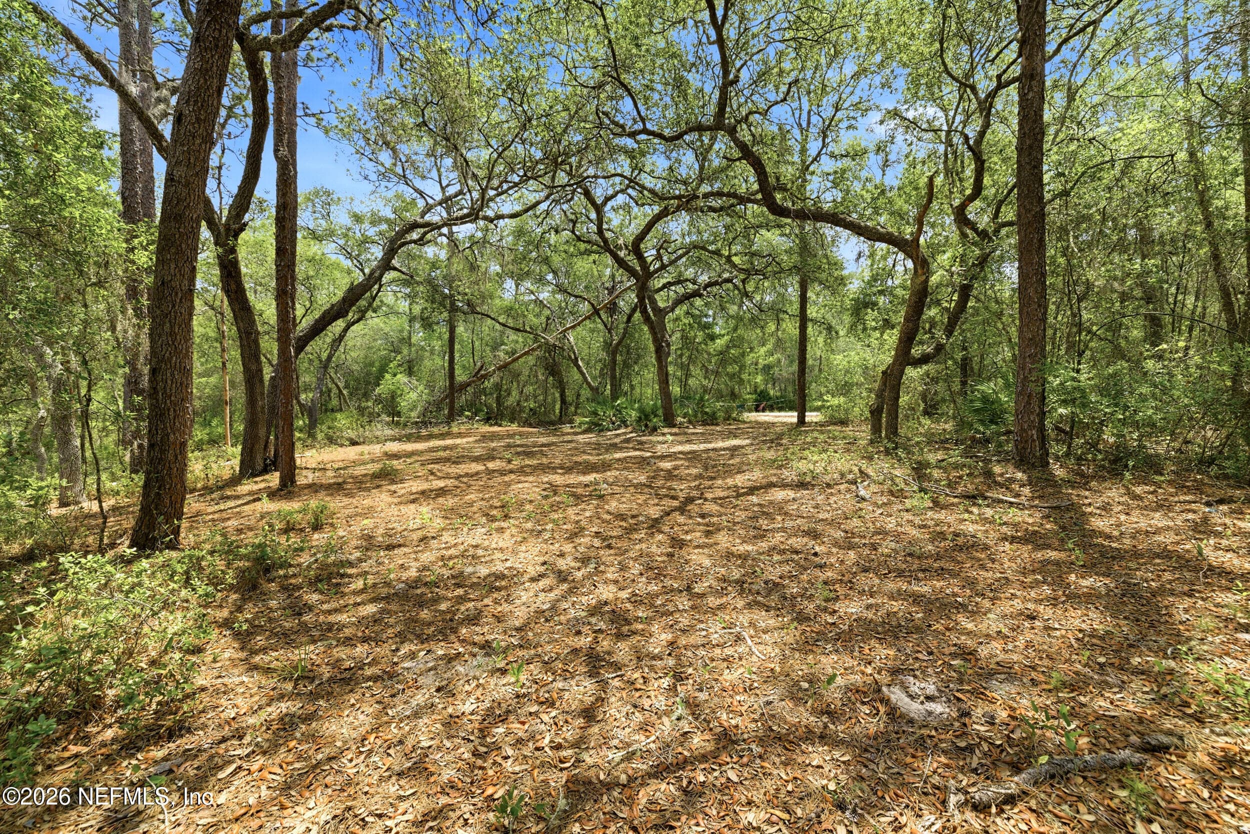 Photo 10 of 0 NE 115 AVENUE Avenue, Fort McCoy, FL 32134