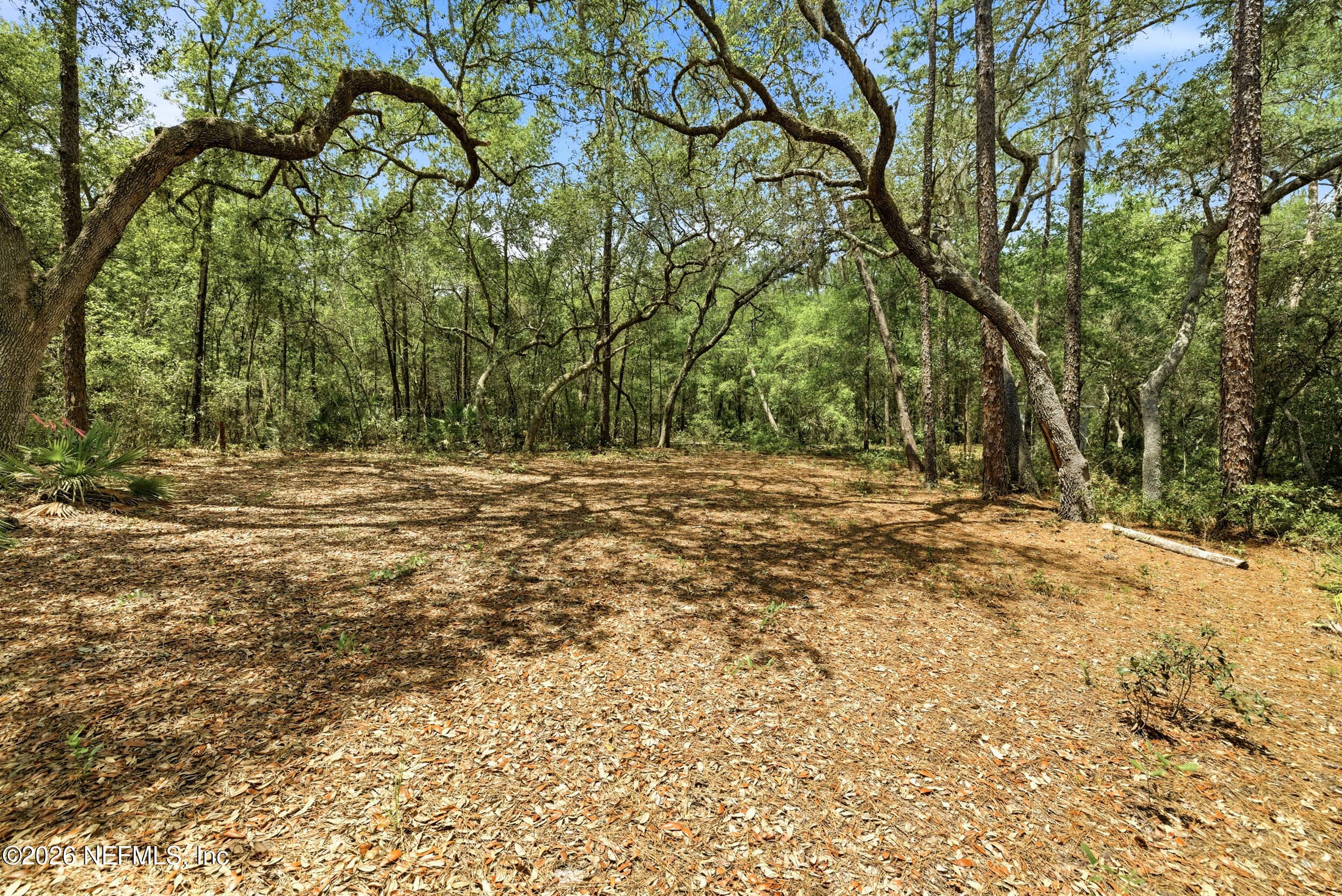 Photo 11 of 0 NE 115 AVENUE Avenue, Fort McCoy, FL 32134
