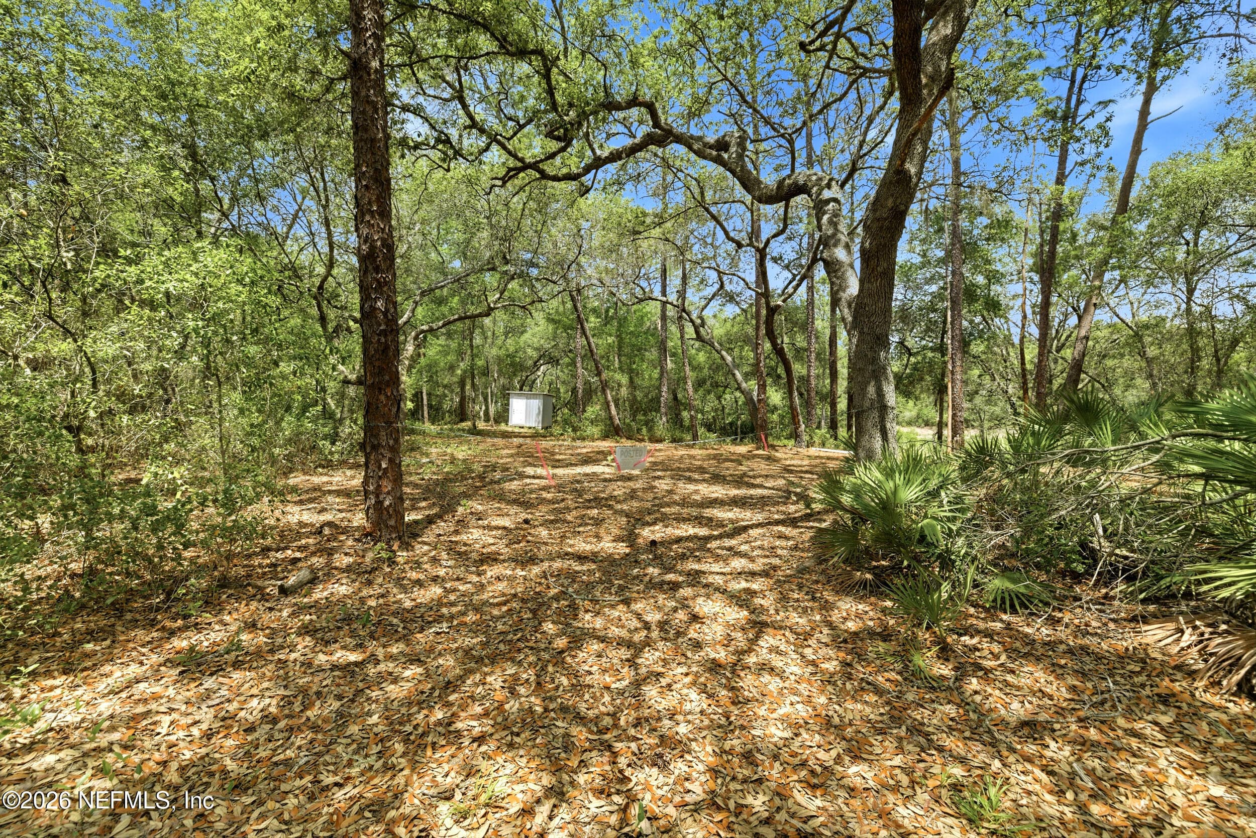 Photo 12 of 0 NE 115 AVENUE Avenue, Fort McCoy, FL 32134