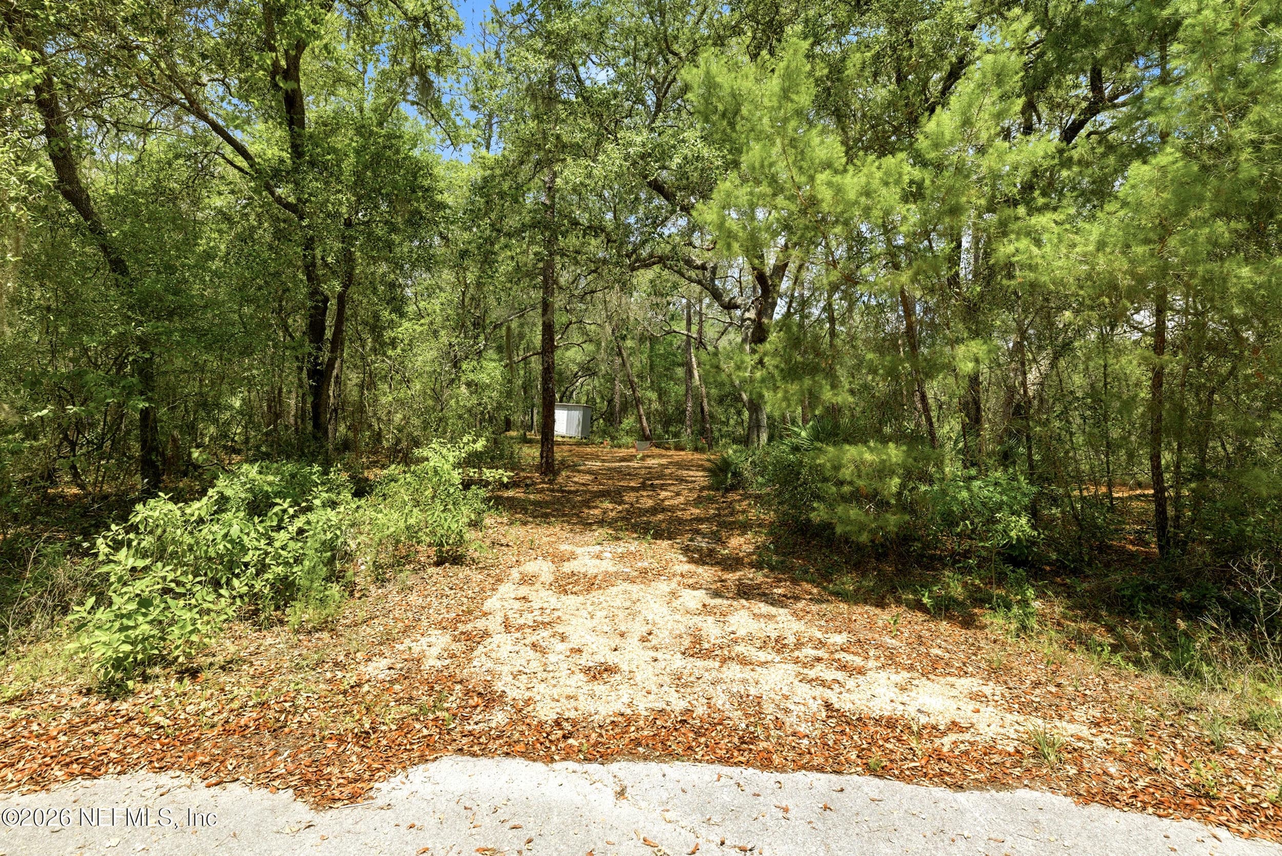Photo 13 of 0 NE 115 AVENUE Avenue, Fort McCoy, FL 32134