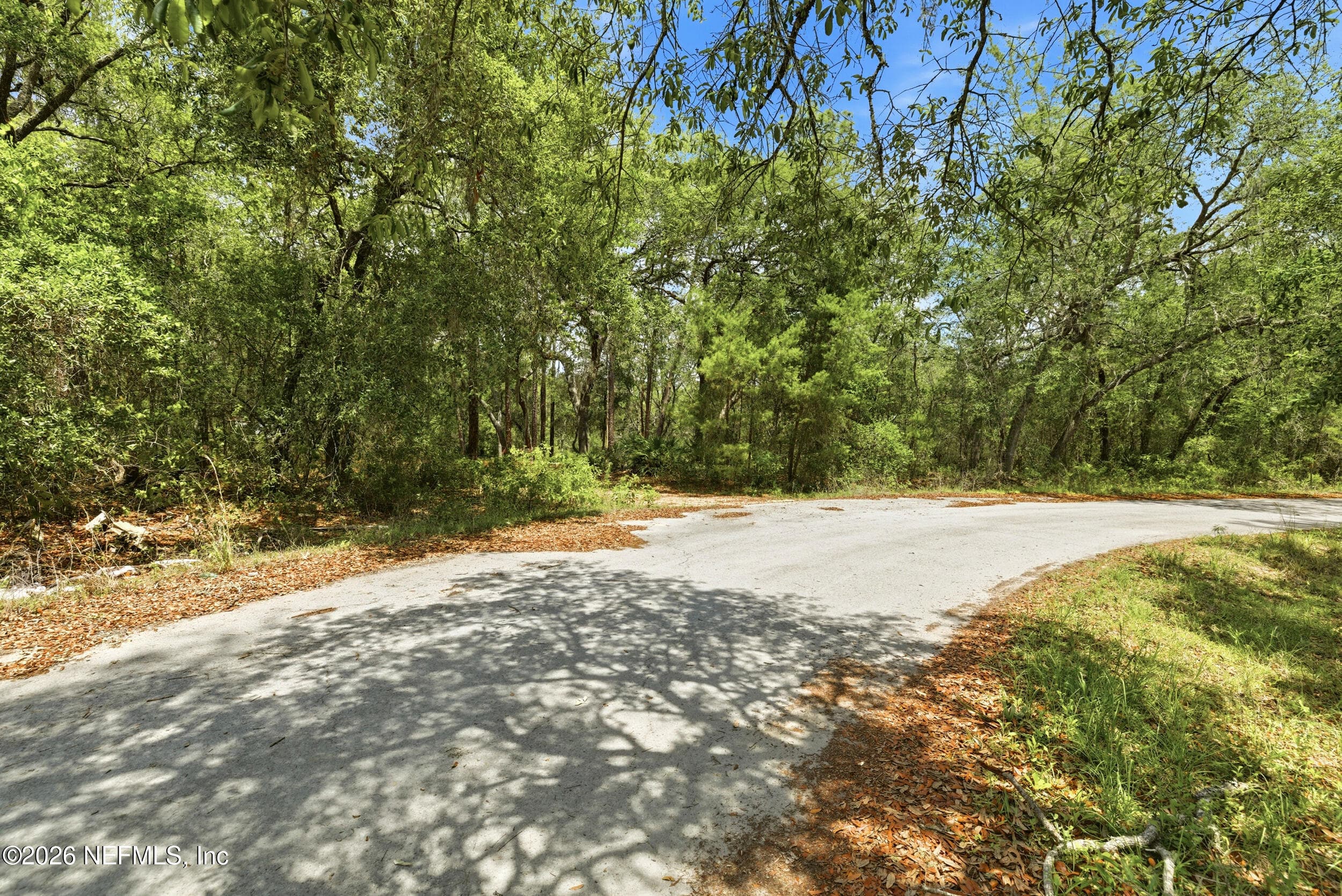 Photo 14 of 0 NE 115 AVENUE Avenue, Fort McCoy, FL 32134