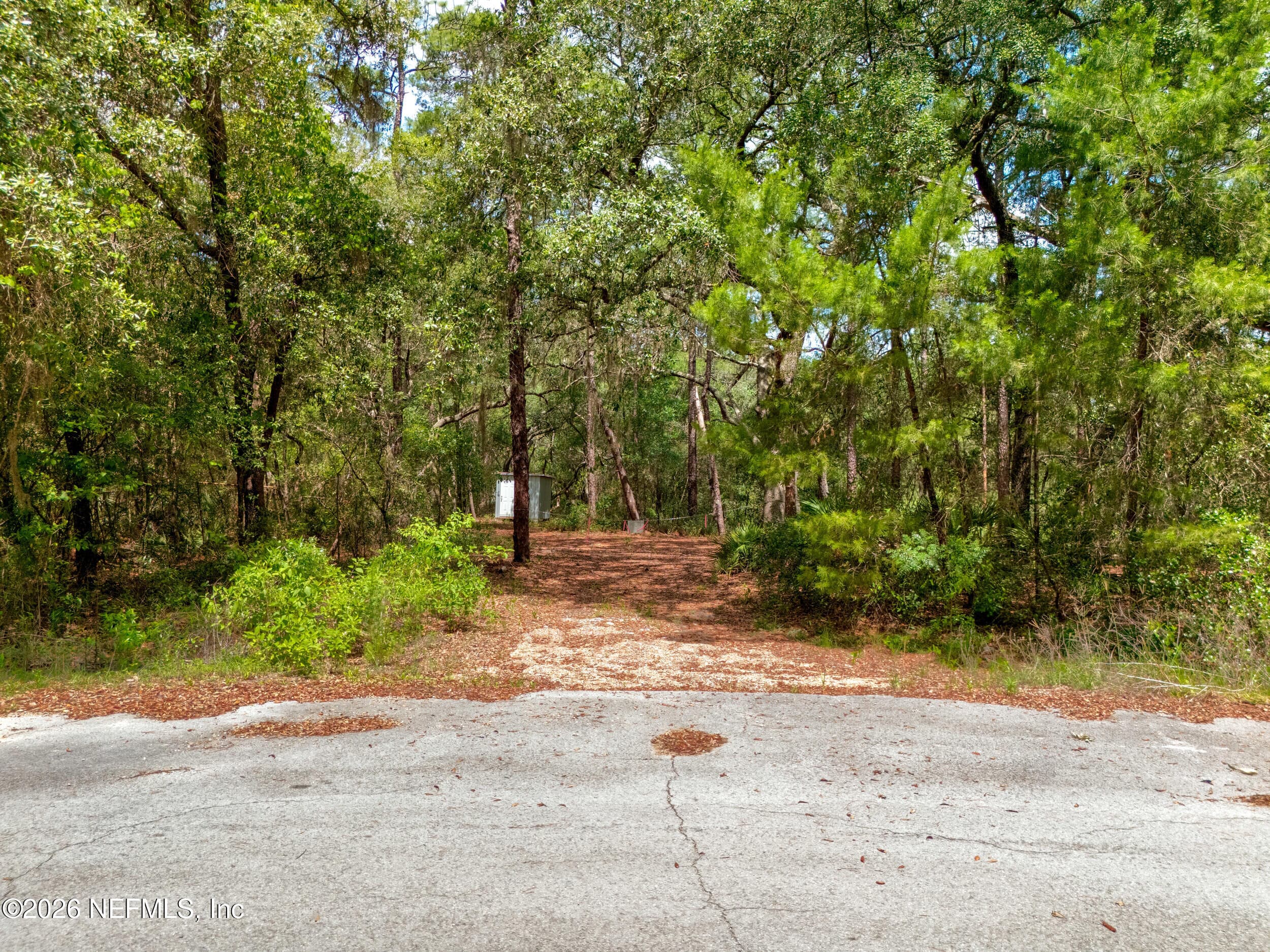 Photo 16 of 0 NE 115 AVENUE Avenue, Fort McCoy, FL 32134