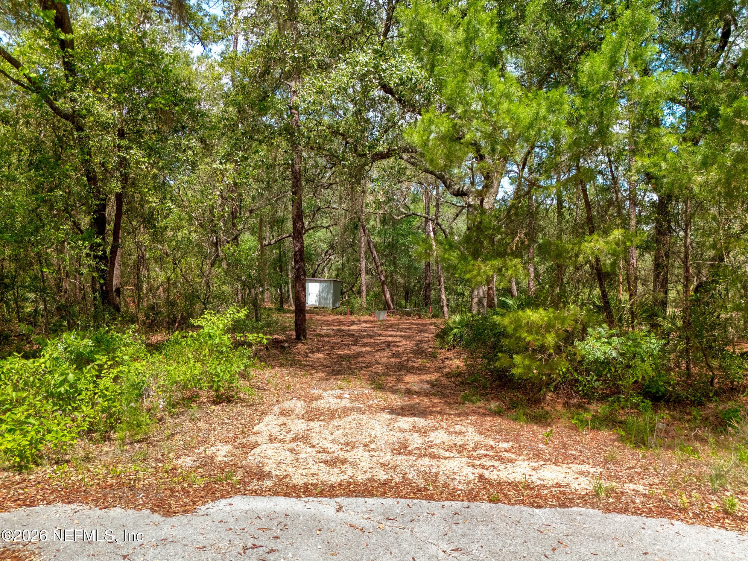 Photo 17 of 0 NE 115 AVENUE Avenue, Fort McCoy, FL 32134