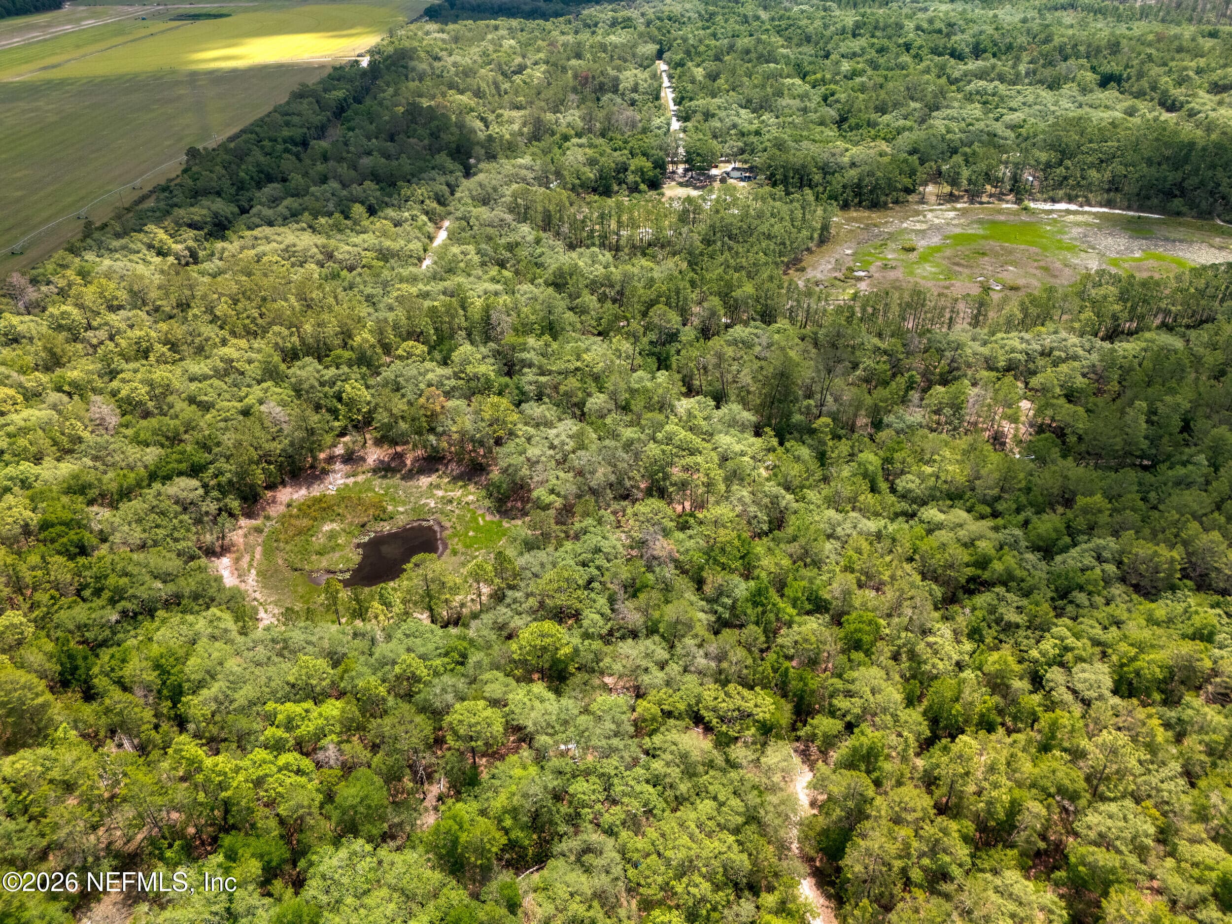 Photo 31 of 0 NE 115 AVENUE Avenue, Fort McCoy, FL 32134