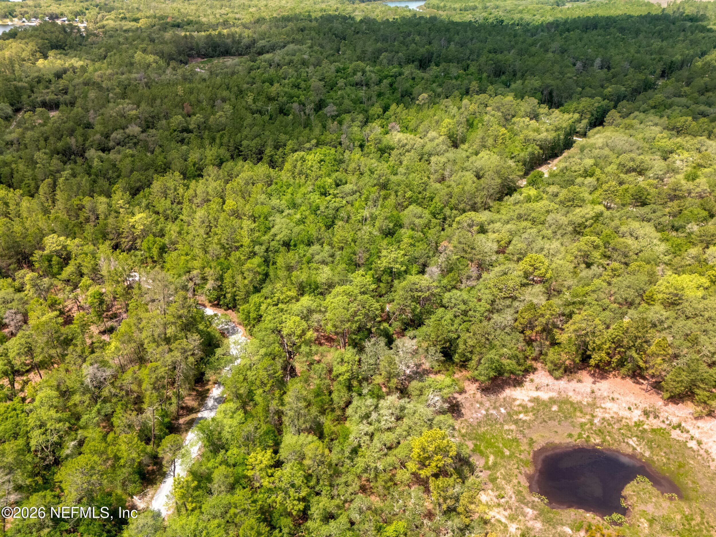 Photo 37 of 0 NE 115 AVENUE Avenue, Fort McCoy, FL 32134