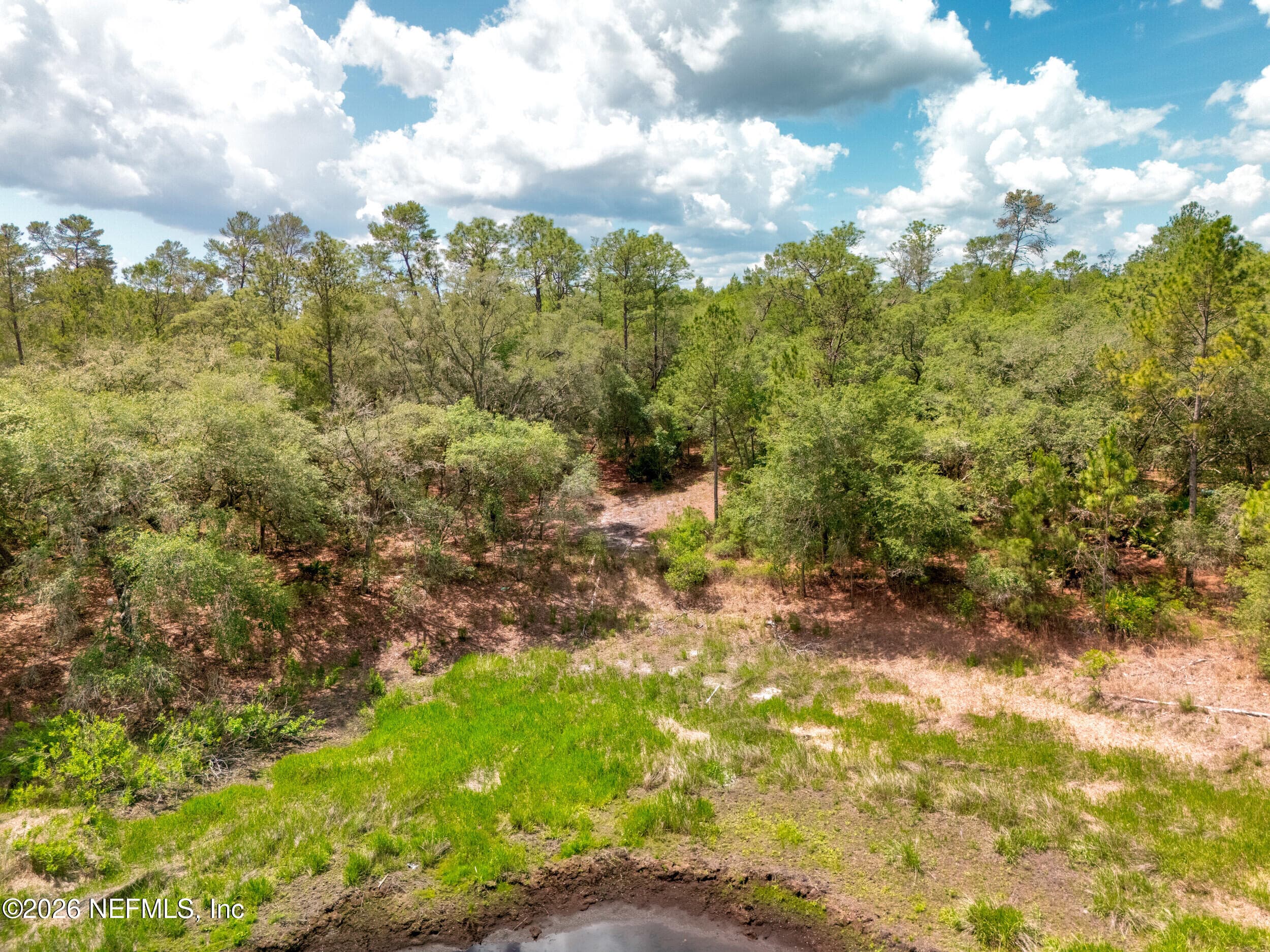 Photo 41 of 0 NE 115 AVENUE Avenue, Fort McCoy, FL 32134