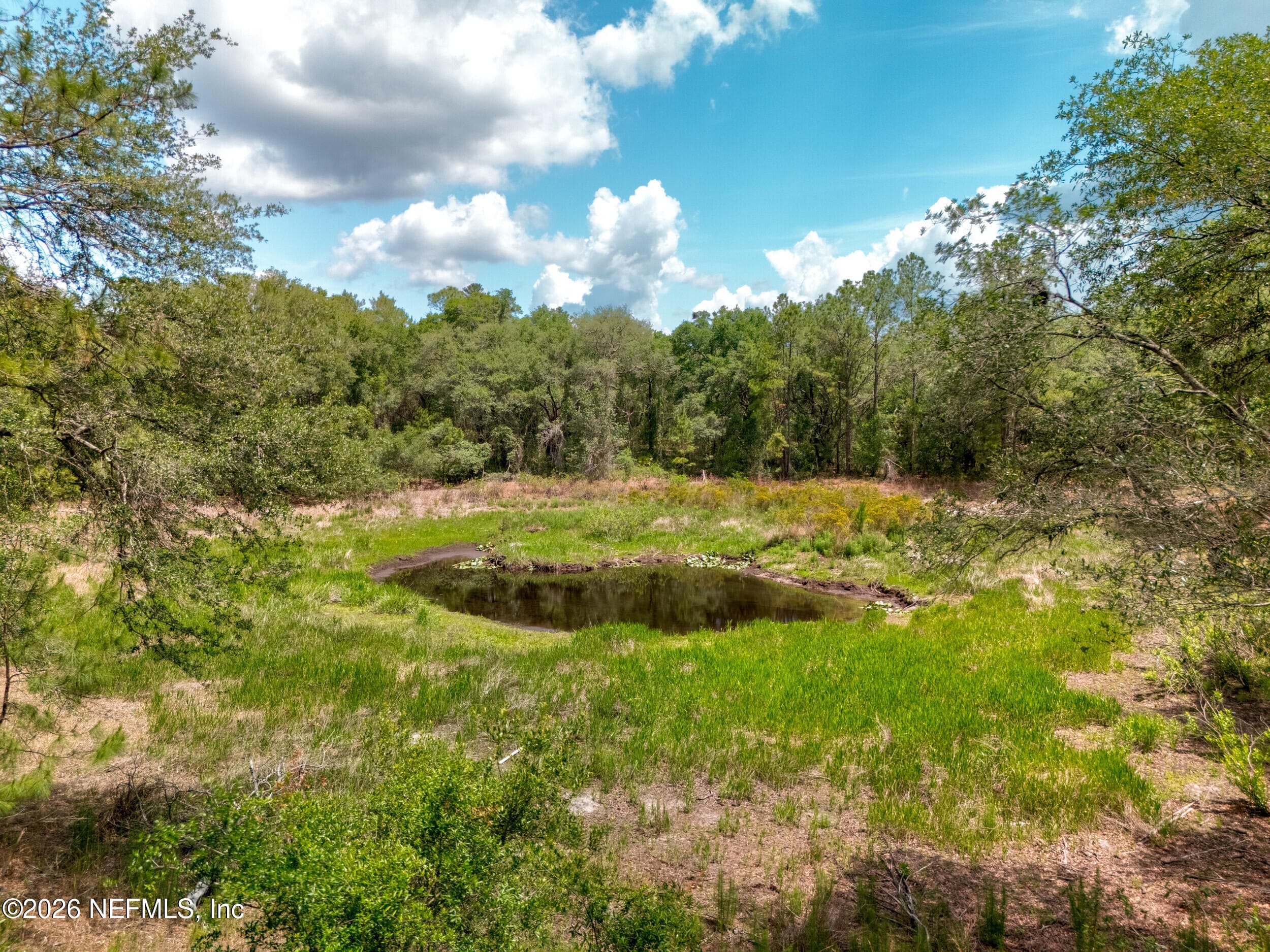 Photo 42 of 0 NE 115 AVENUE Avenue, Fort McCoy, FL 32134