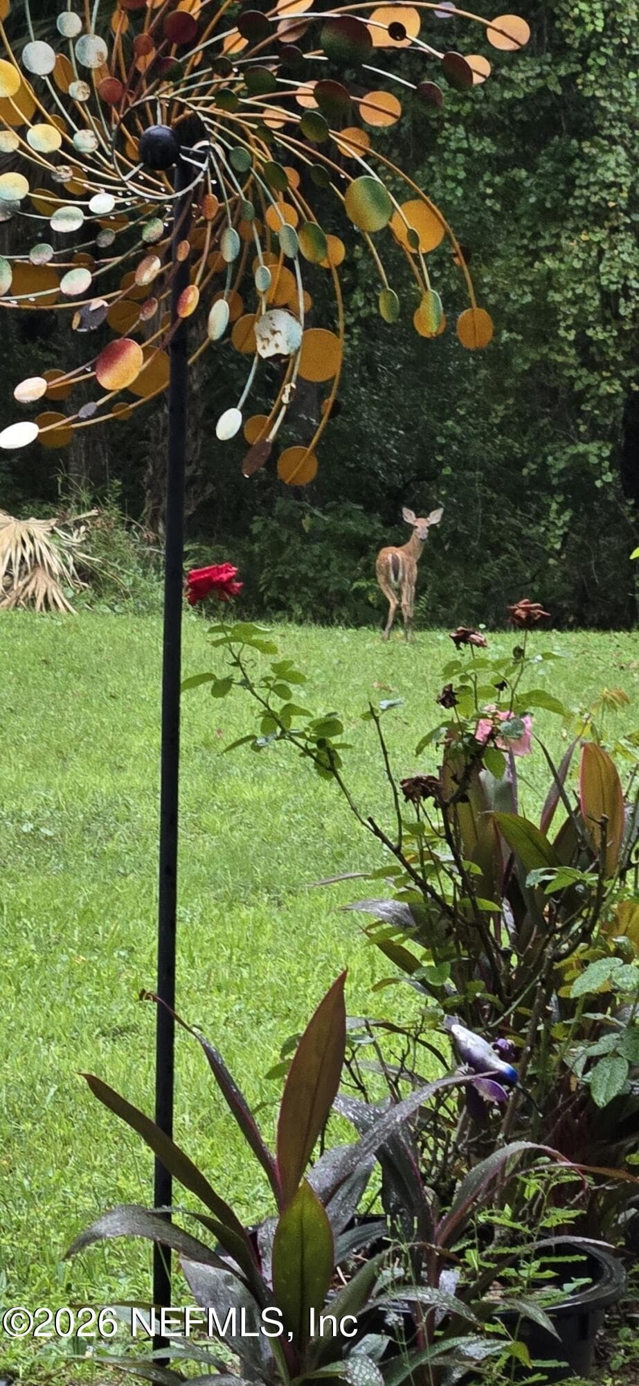 Photo 47 of 2140 TOM THUMB Road, Middleburg, FL 32068