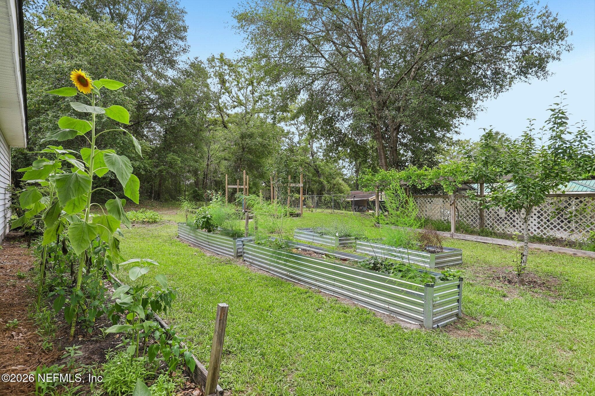 Photo 36 of 4379 TARRAGON Avenue, Middleburg, FL 32068