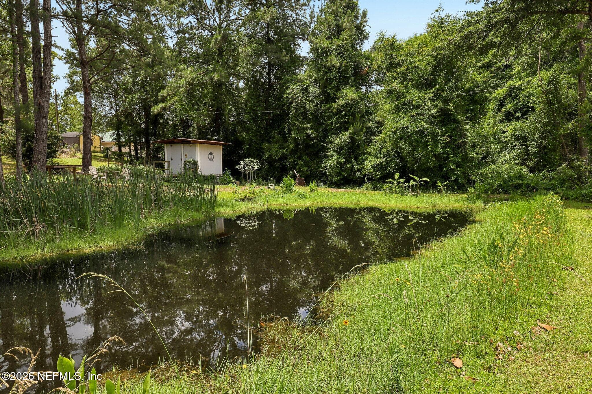 Photo 42 of 4379 TARRAGON Avenue, Middleburg, FL 32068
