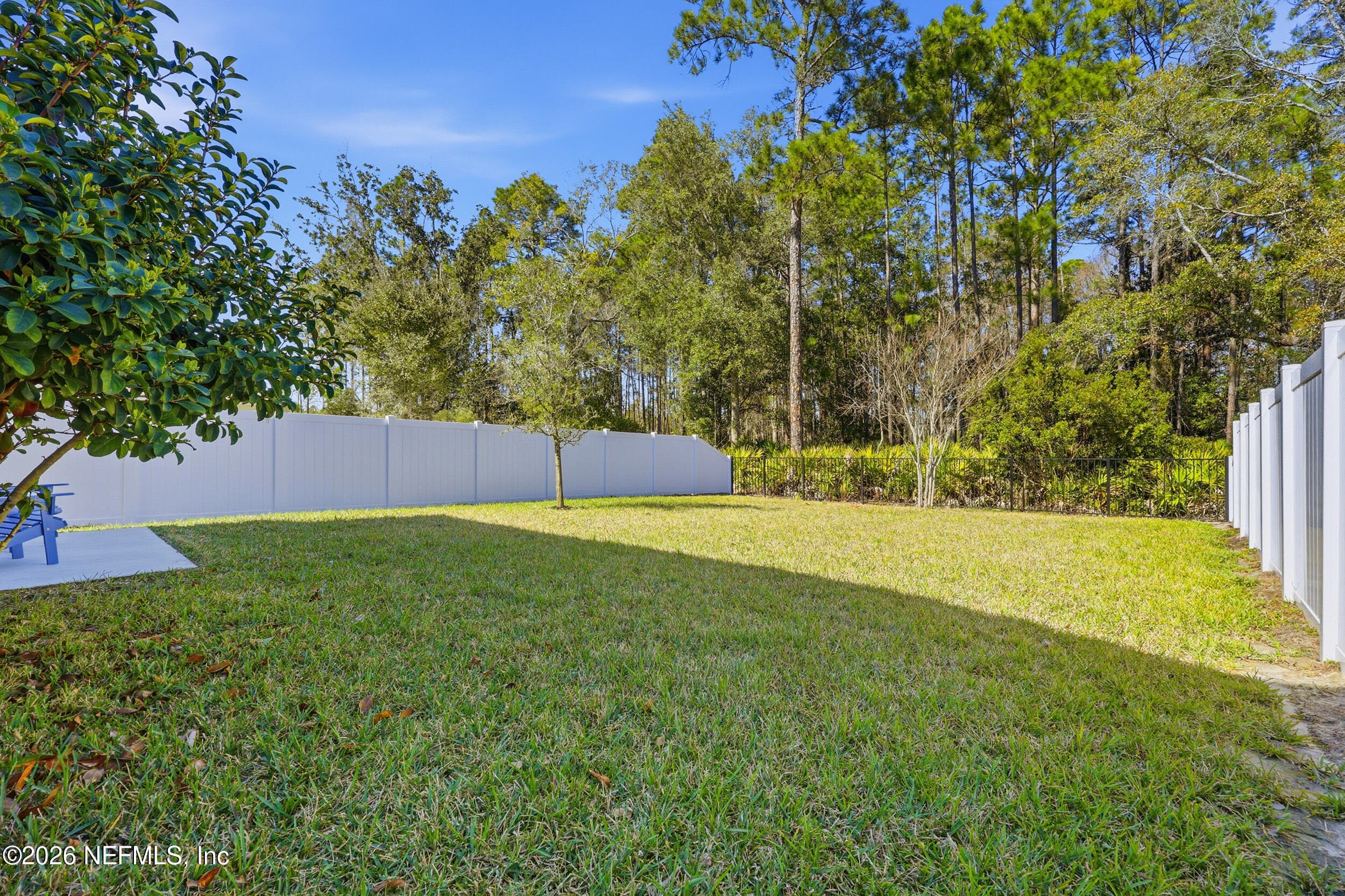 Photo 42 of 184 DAHLIA FALLS Drive, St. Johns, FL 32259