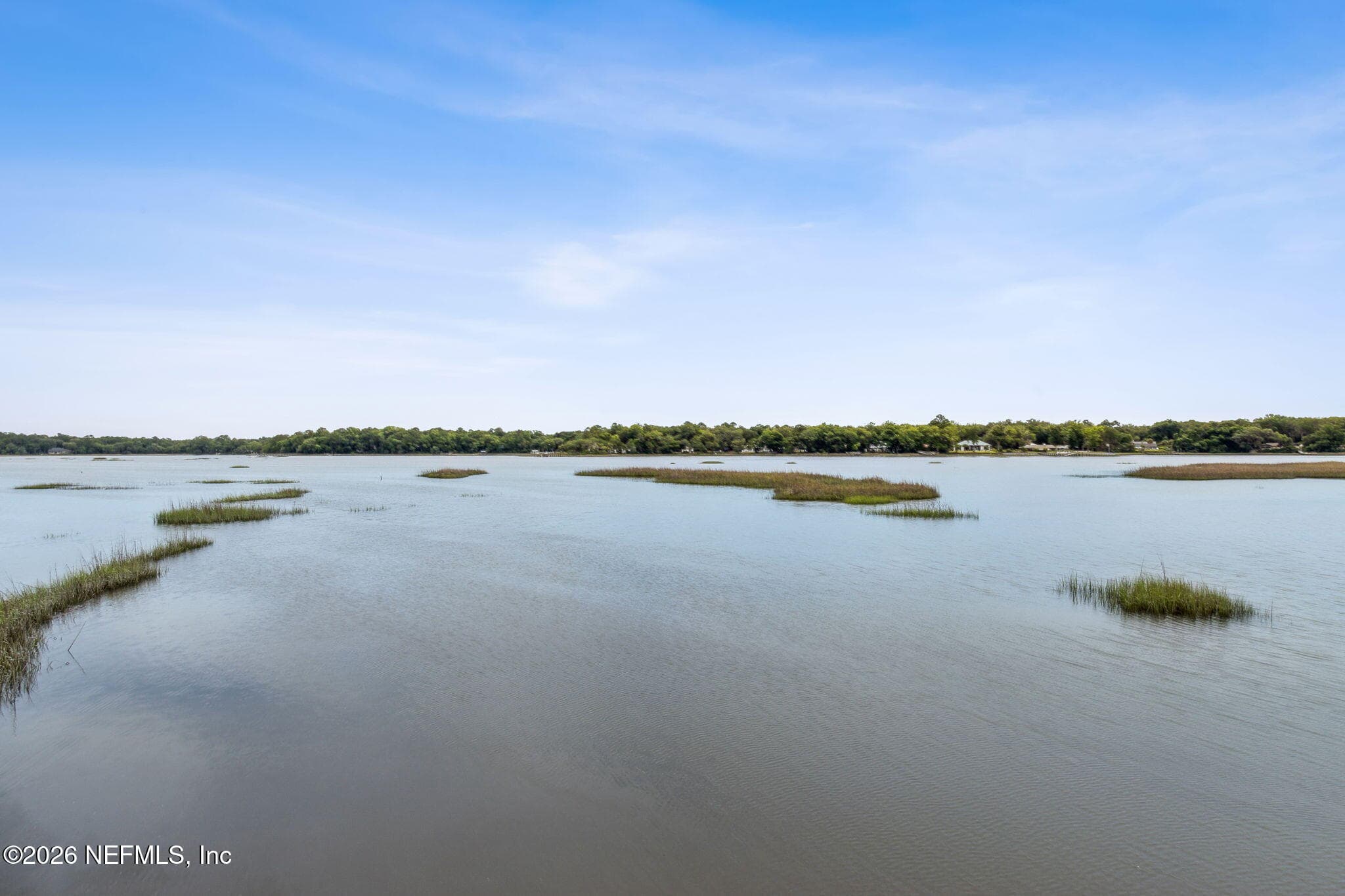 Photo 93 of 96266 DOWLING Drive, Yulee, FL 32097