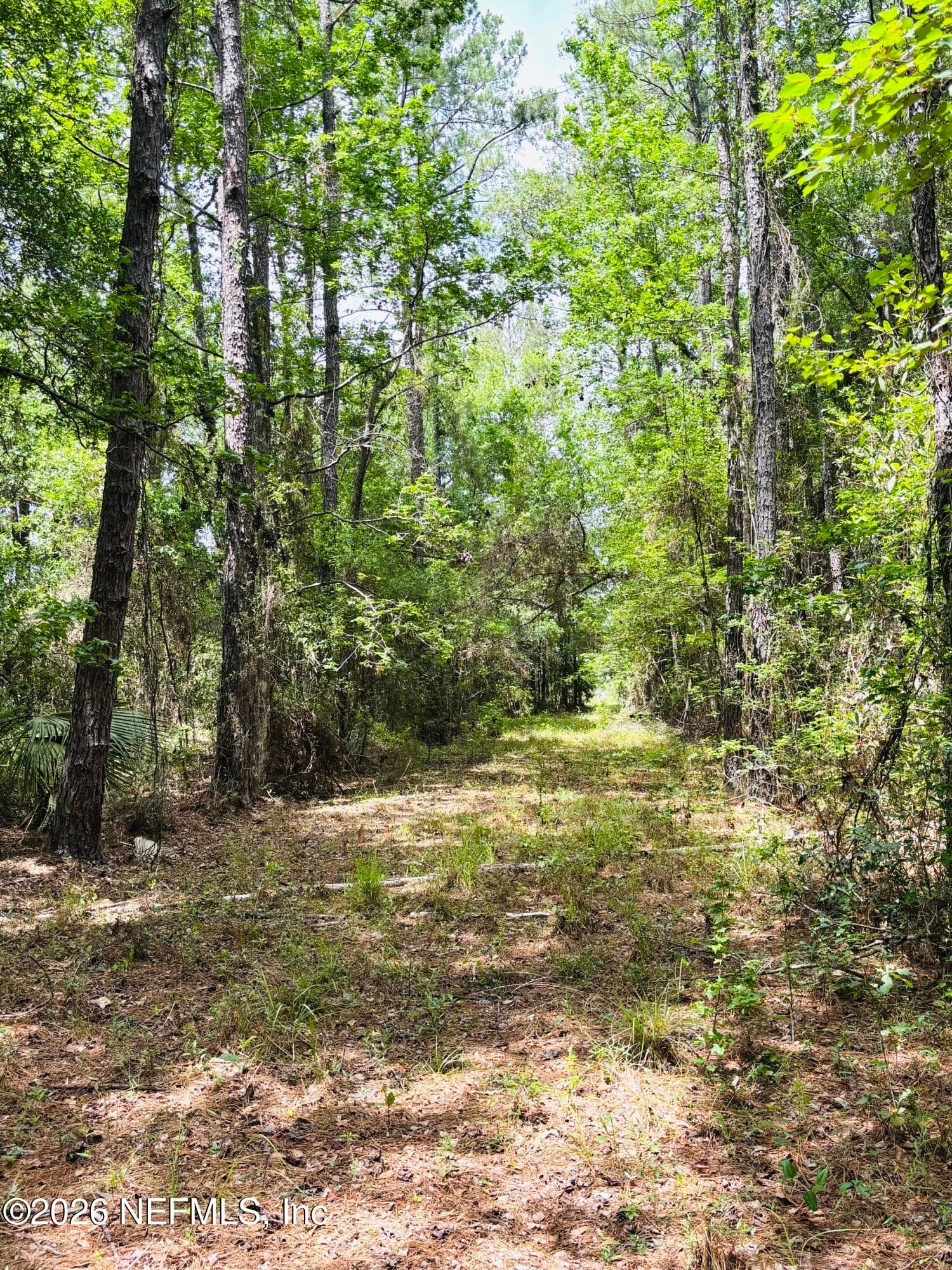 Photo 4 of 0 LAKE HAMPTON, Hilliard, FL 32046