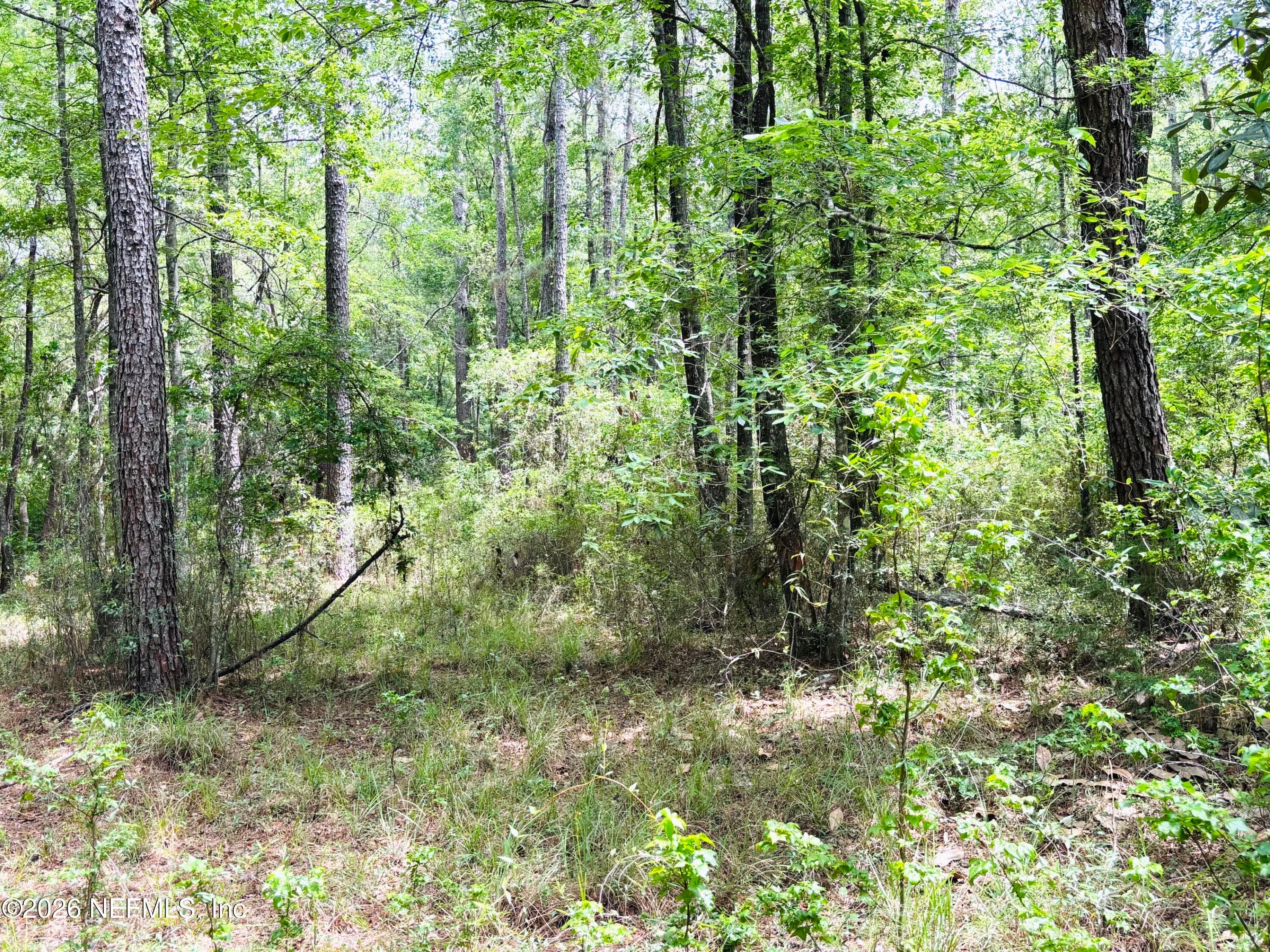 Photo 6 of 0 LAKE HAMPTON, Hilliard, FL 32046