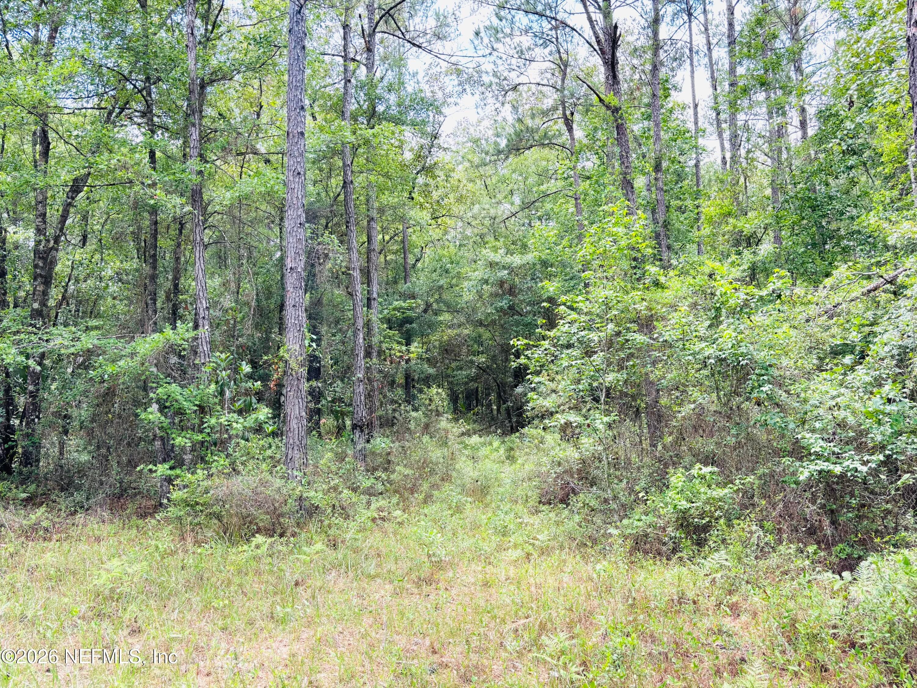 Photo 7 of 0 LAKE HAMPTON, Hilliard, FL 32046