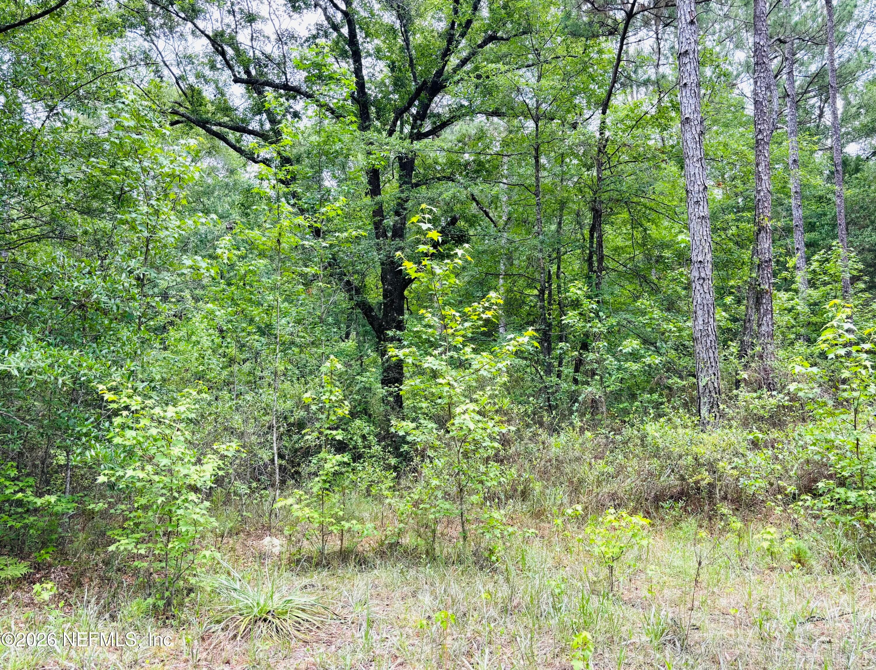Photo 8 of 0 LAKE HAMPTON, Hilliard, FL 32046