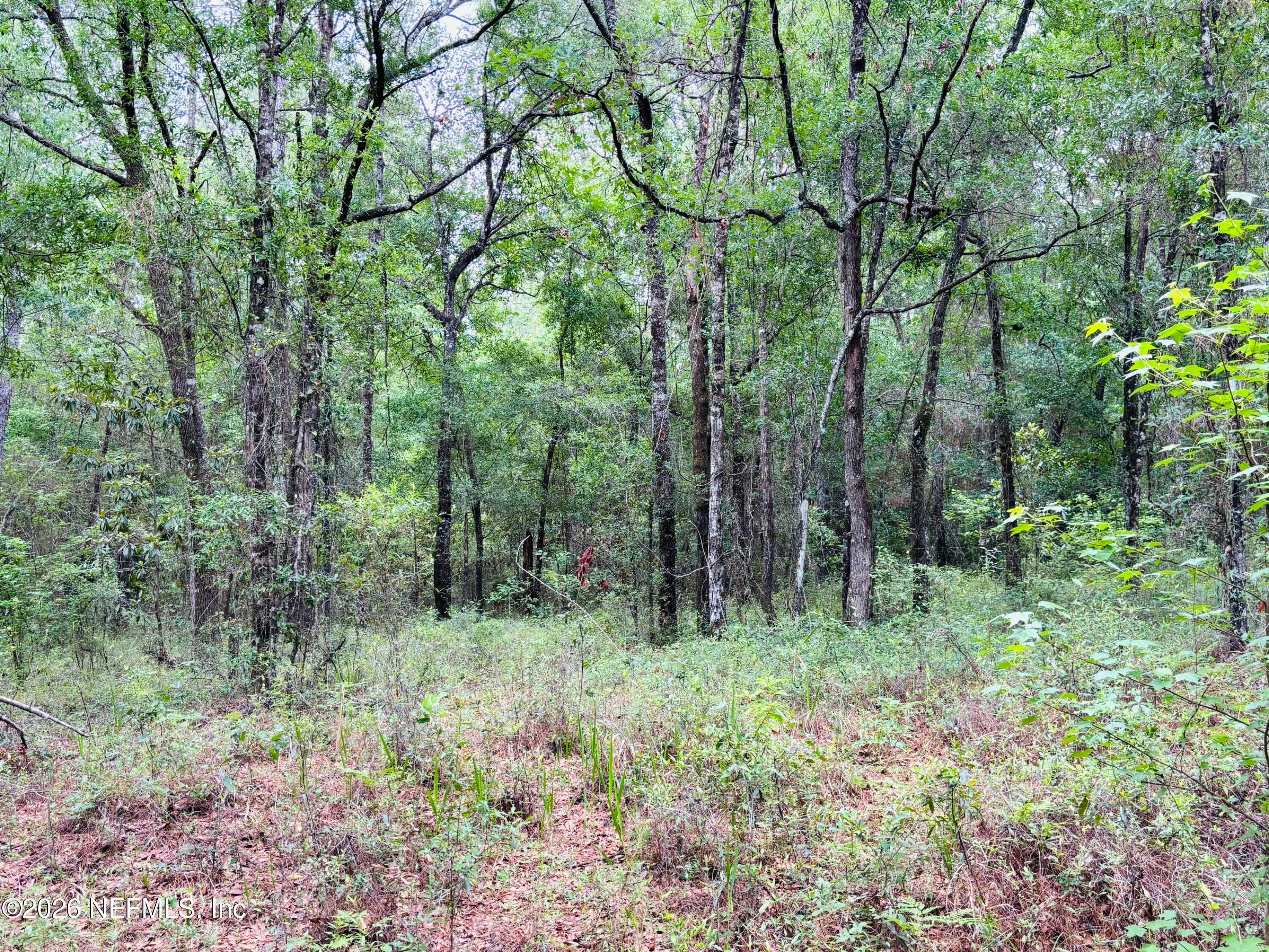 Photo 9 of 0 LAKE HAMPTON, Hilliard, FL 32046