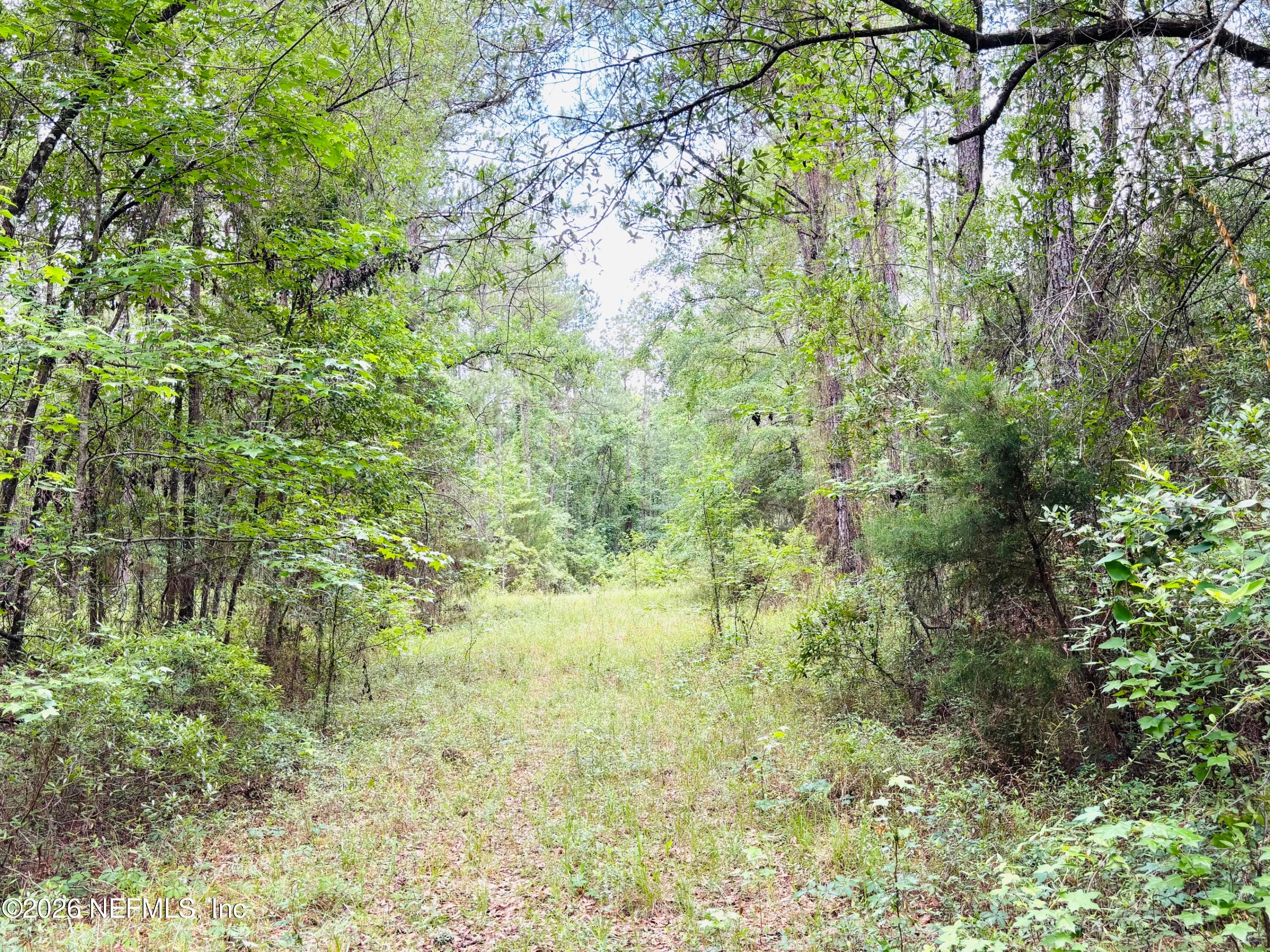 Photo 10 of 0 LAKE HAMPTON, Hilliard, FL 32046