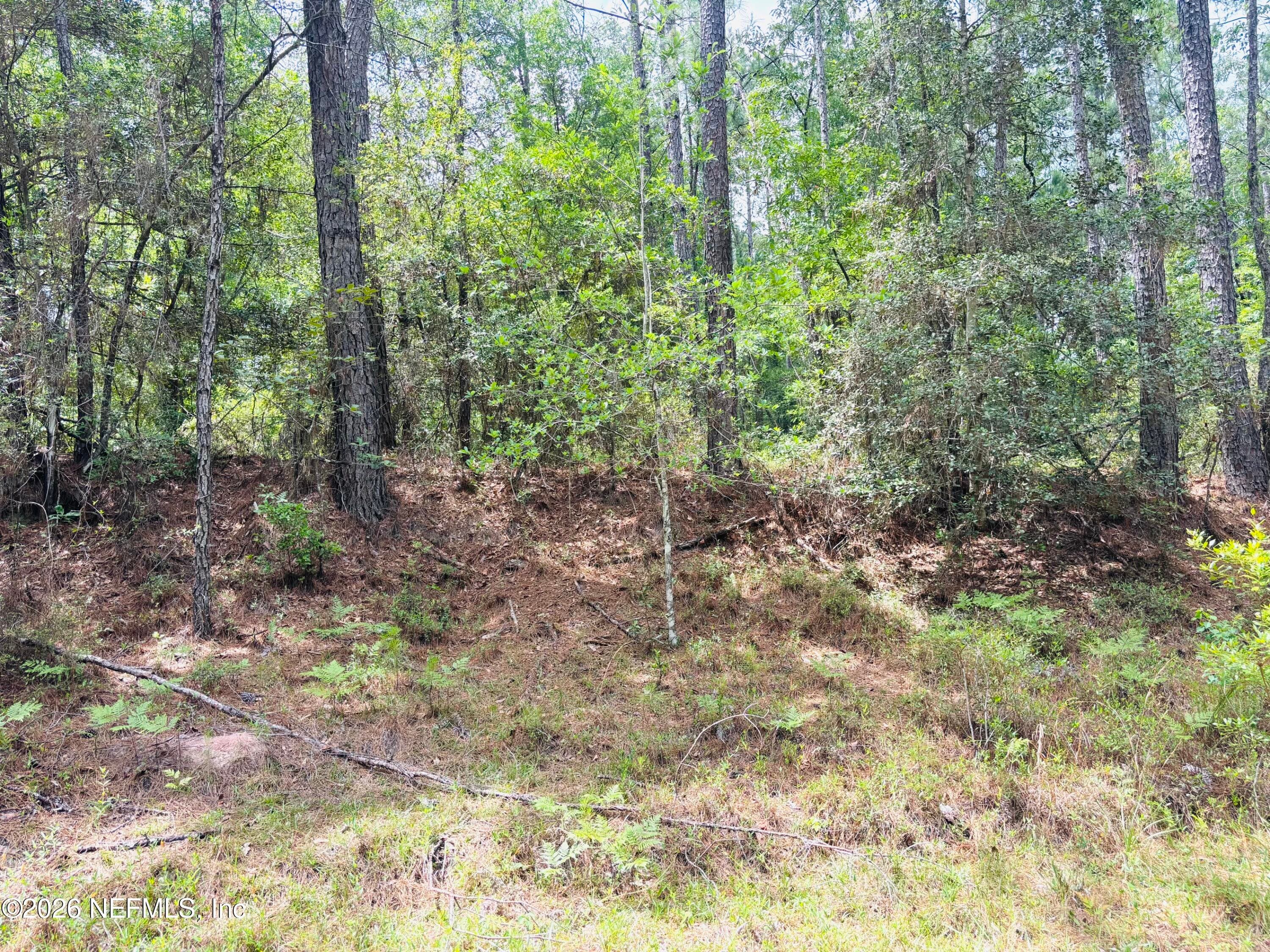 Photo 11 of 0 LAKE HAMPTON, Hilliard, FL 32046