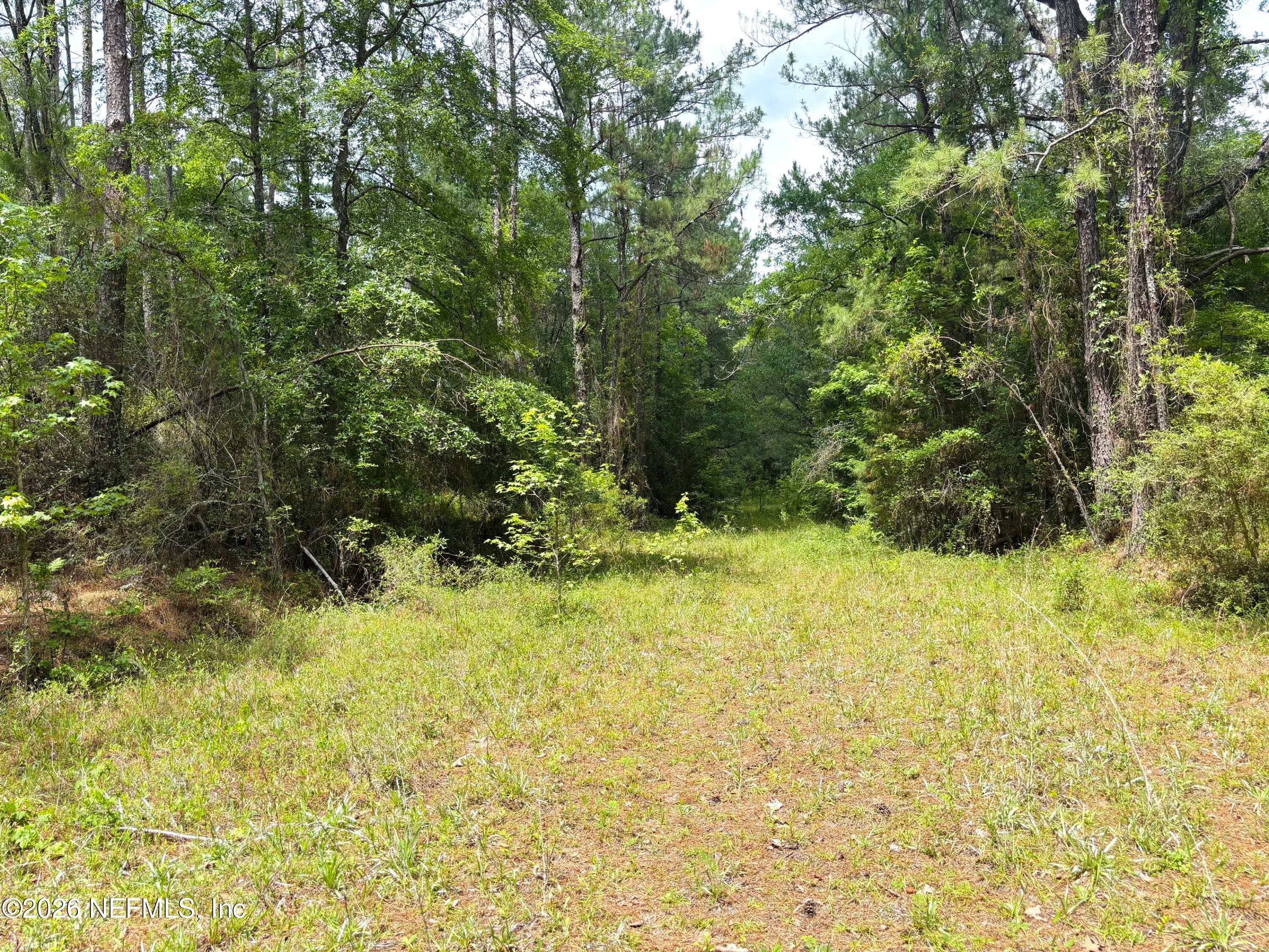 Photo 12 of 0 LAKE HAMPTON, Hilliard, FL 32046
