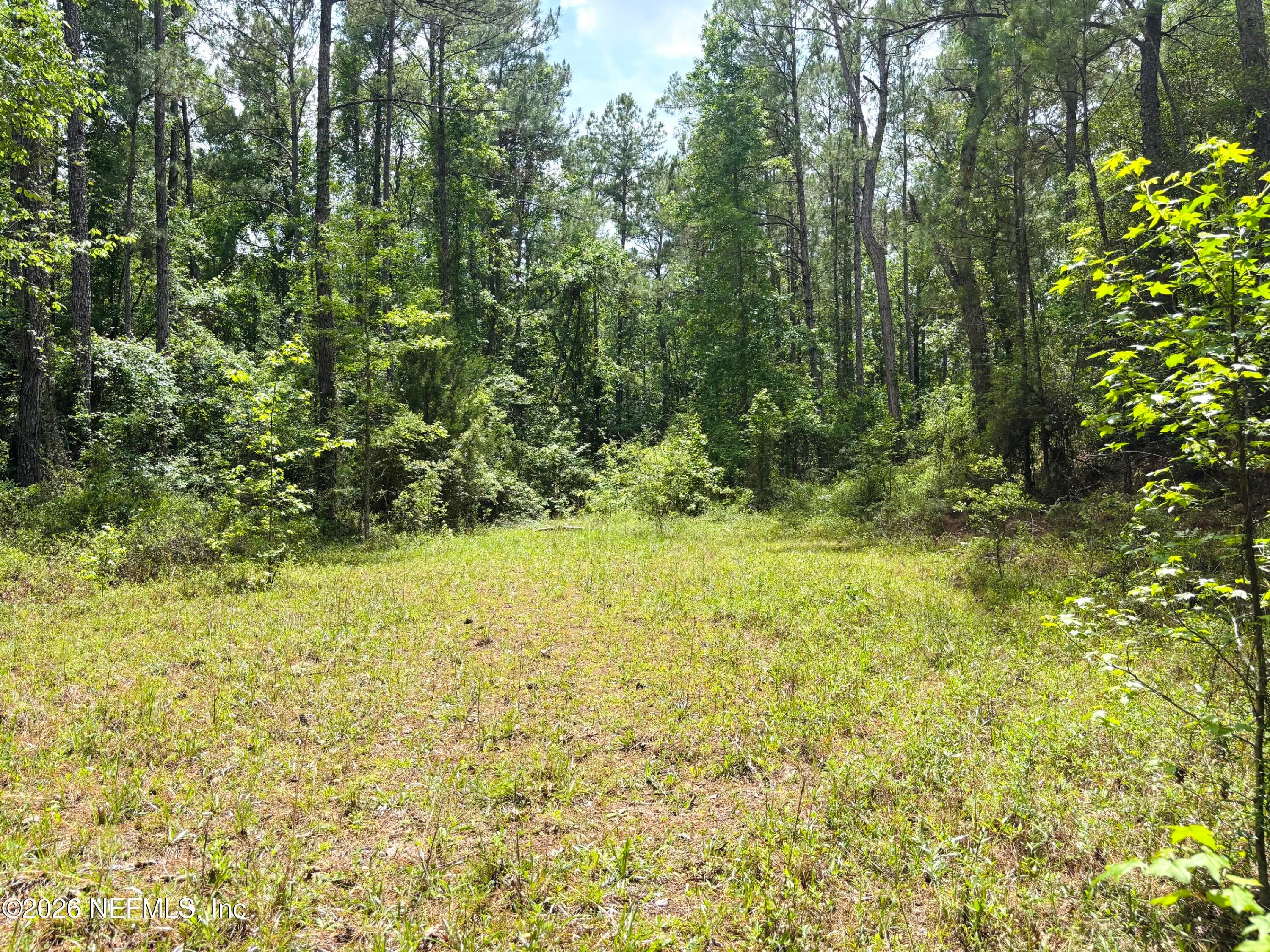 Photo 13 of 0 LAKE HAMPTON, Hilliard, FL 32046