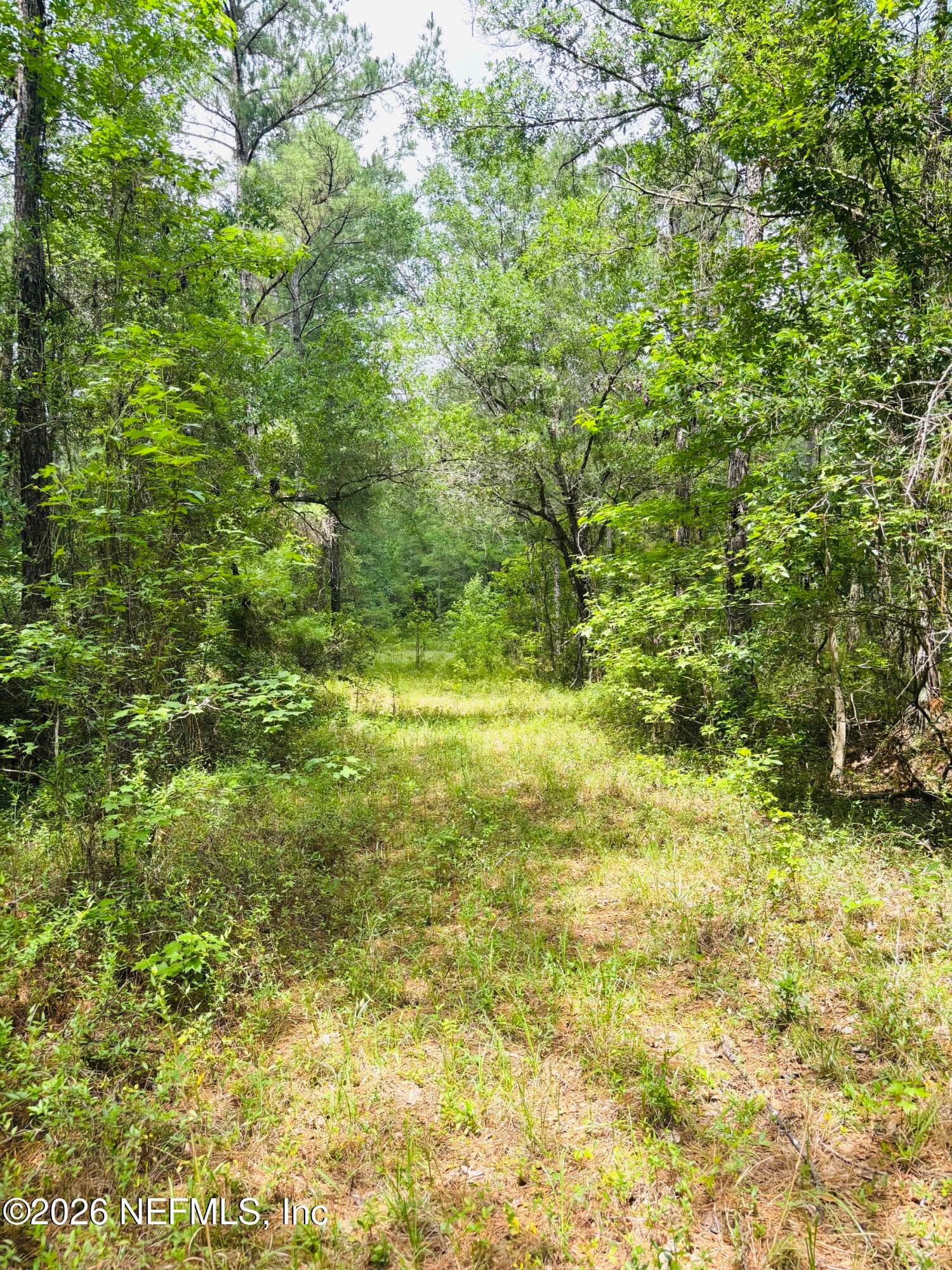 Photo 14 of 0 LAKE HAMPTON, Hilliard, FL 32046